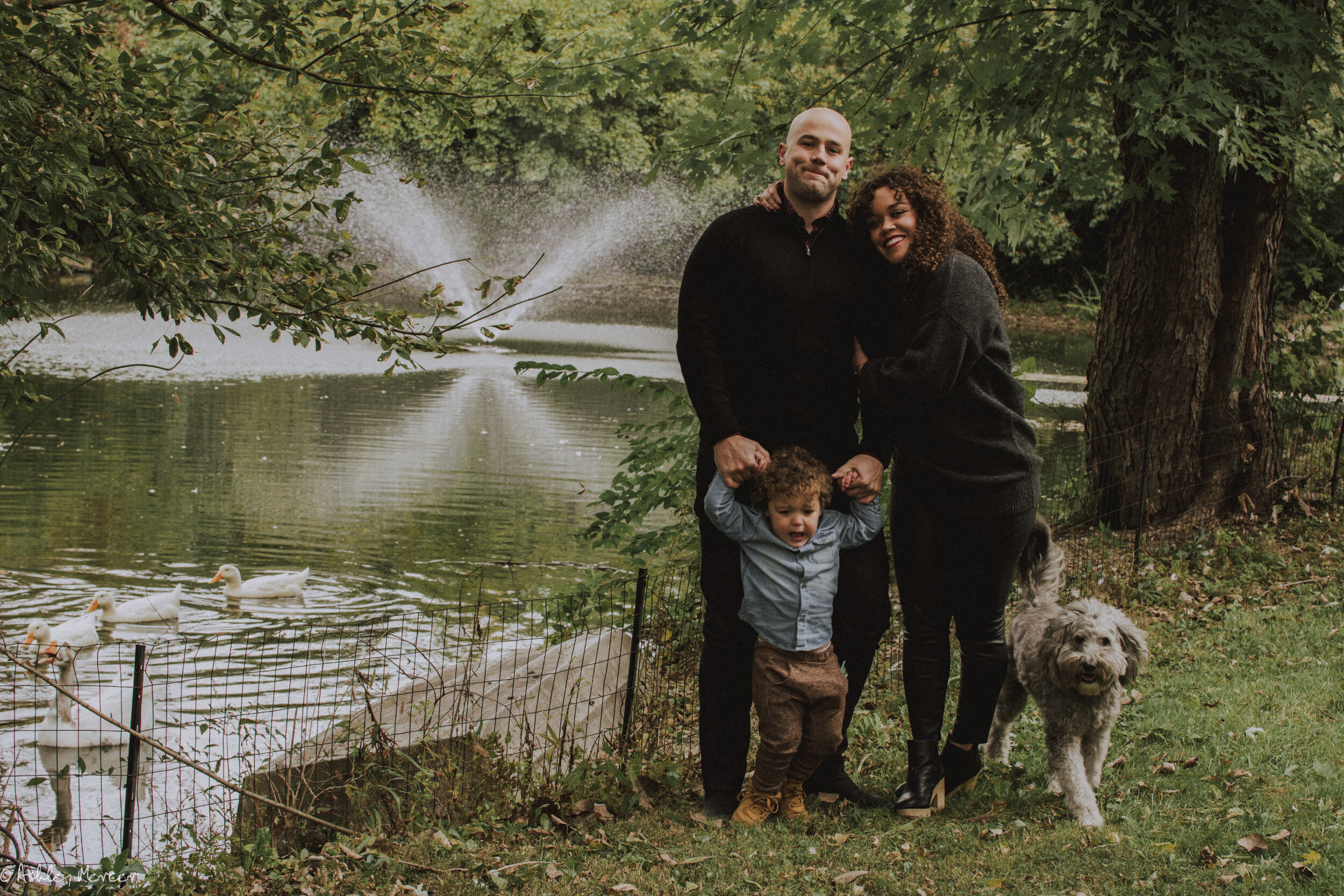 Miesse Family fall 2018-105.jpg