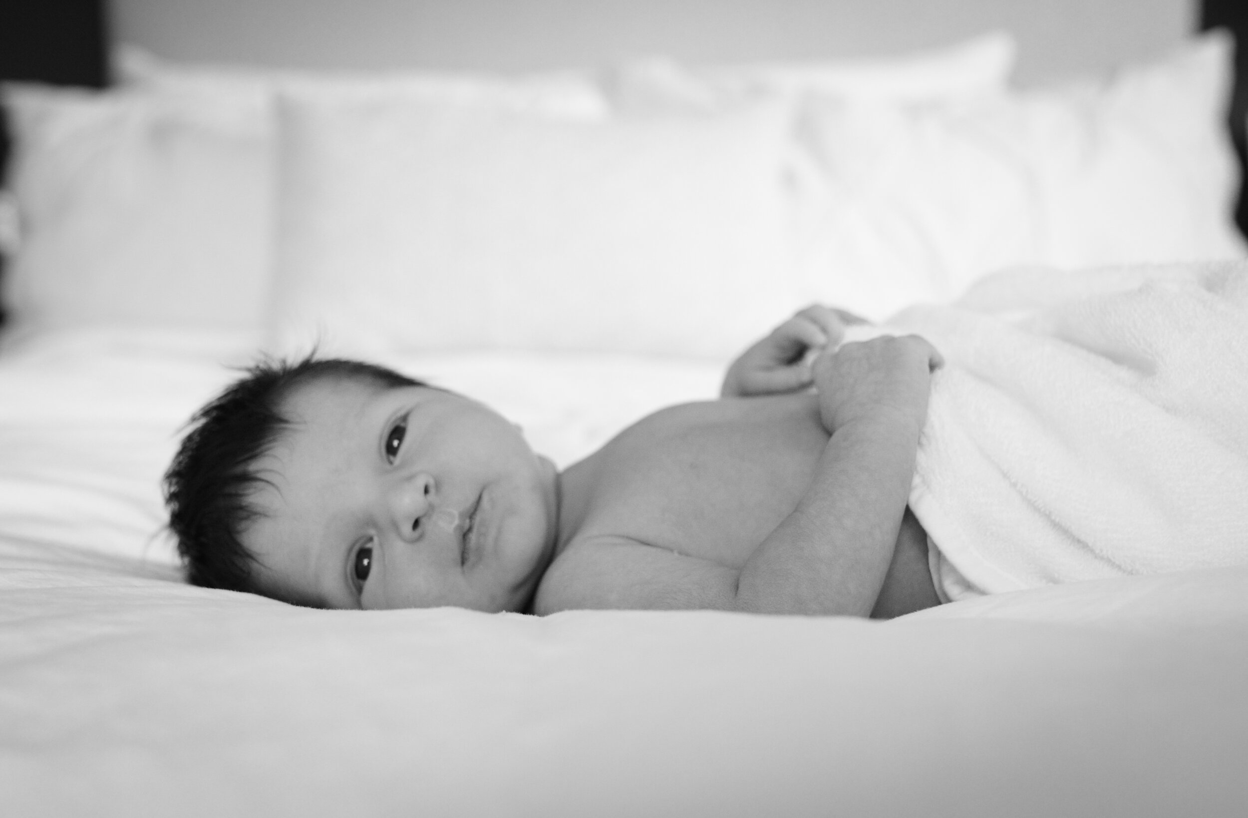 Baby Luca-1.jpg