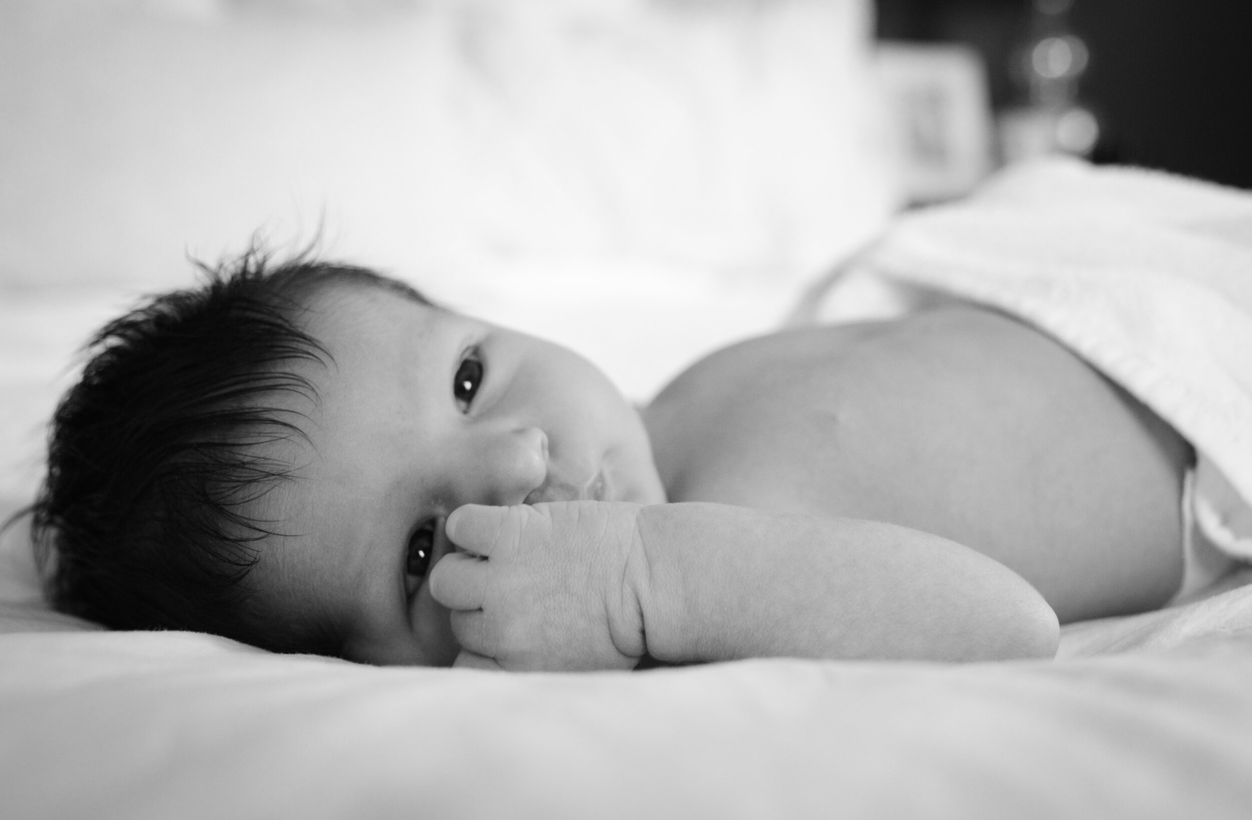 Baby Luca-4.jpg