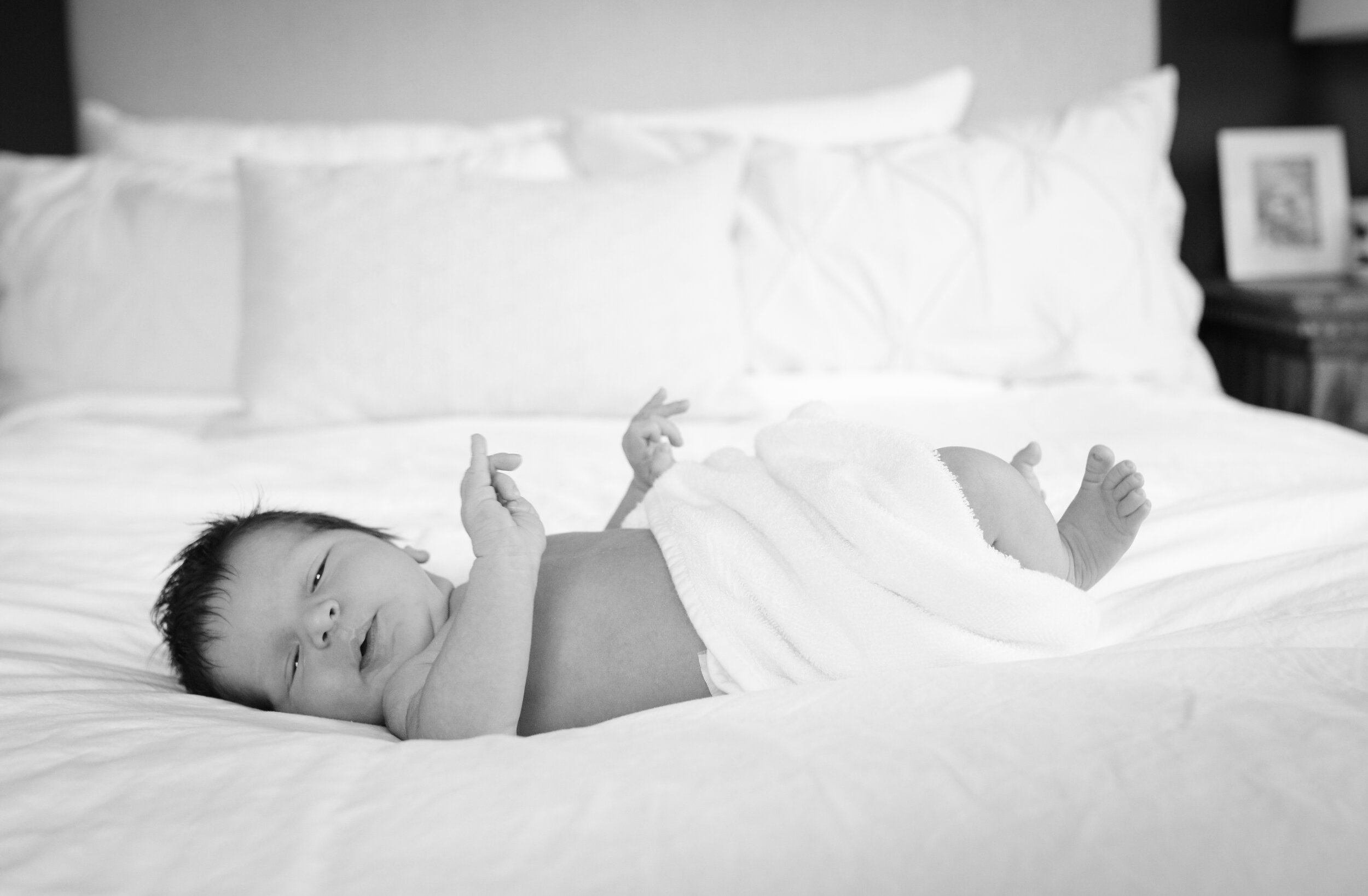 Baby Luca-9.jpg