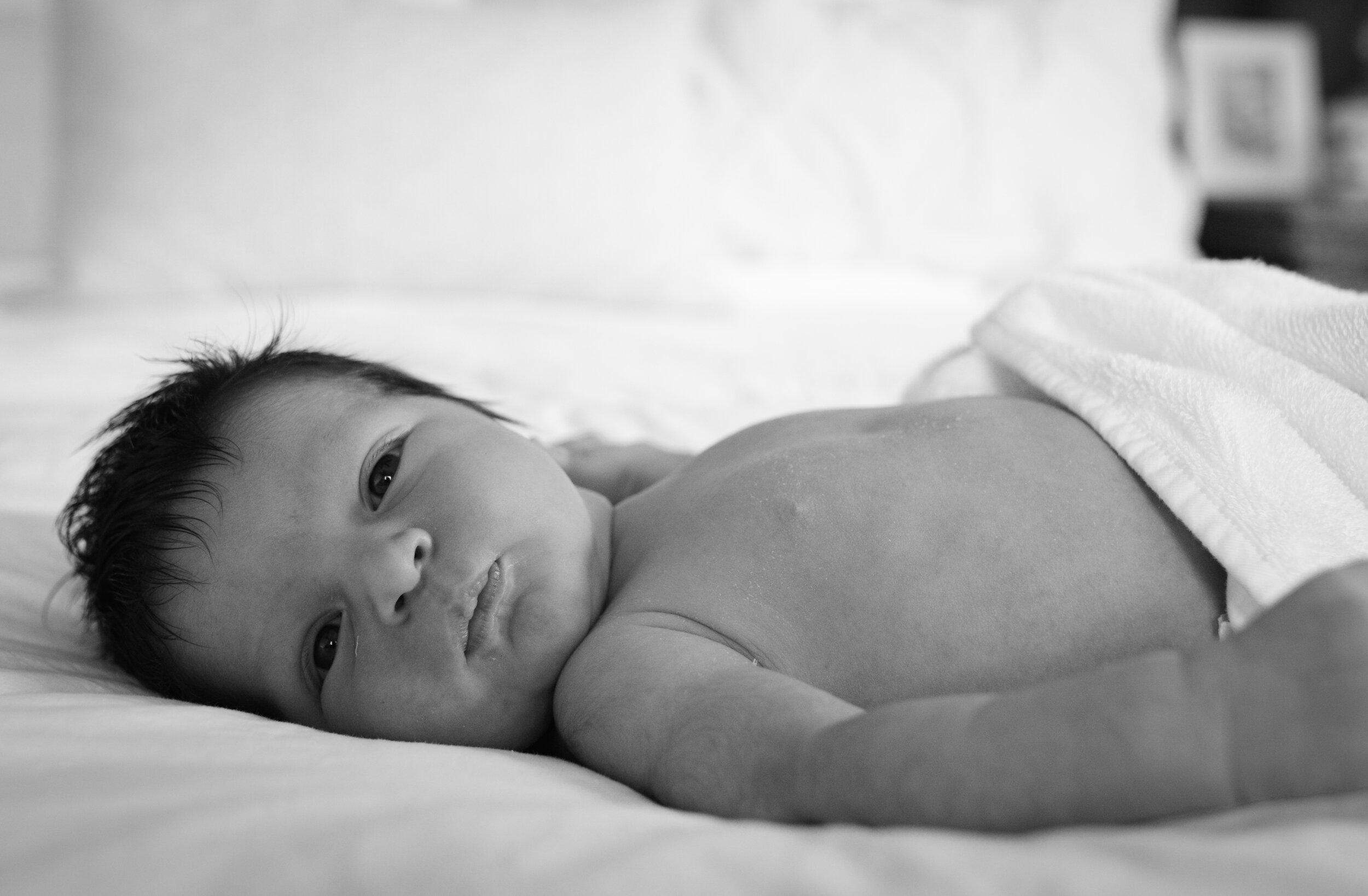 Baby Luca-11.jpg