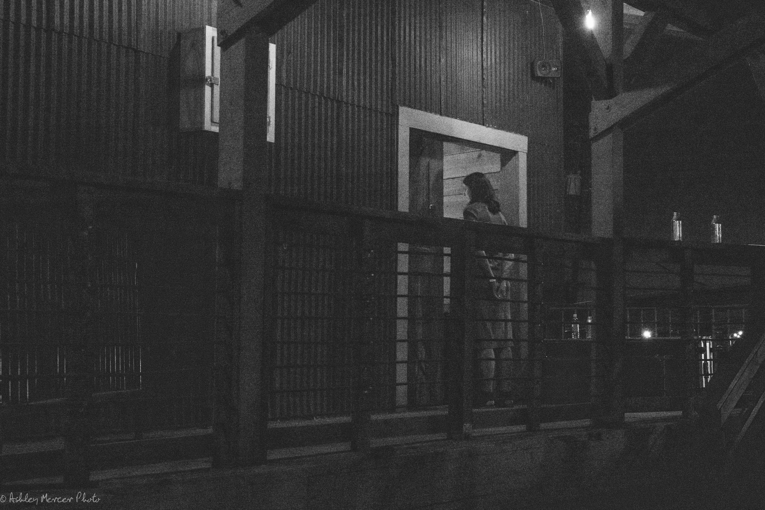 Sumbuck Wonderfool and Sam-64.jpg