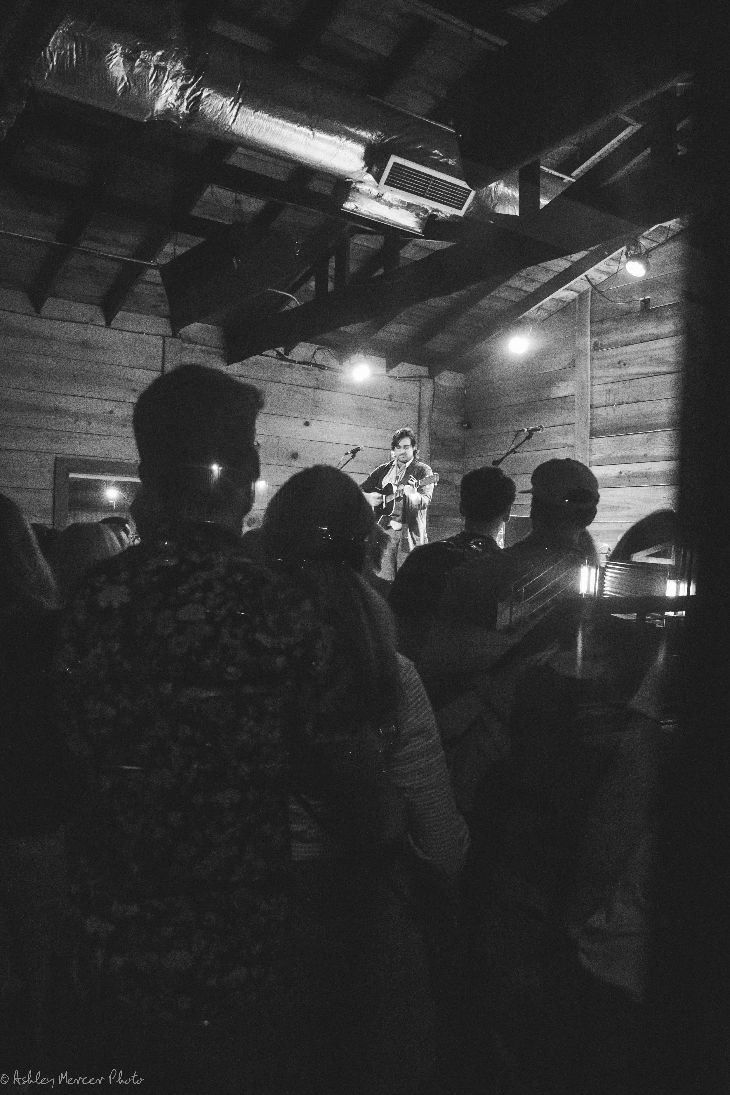 Sumbuck Wonderfool and Sam-84.jpg