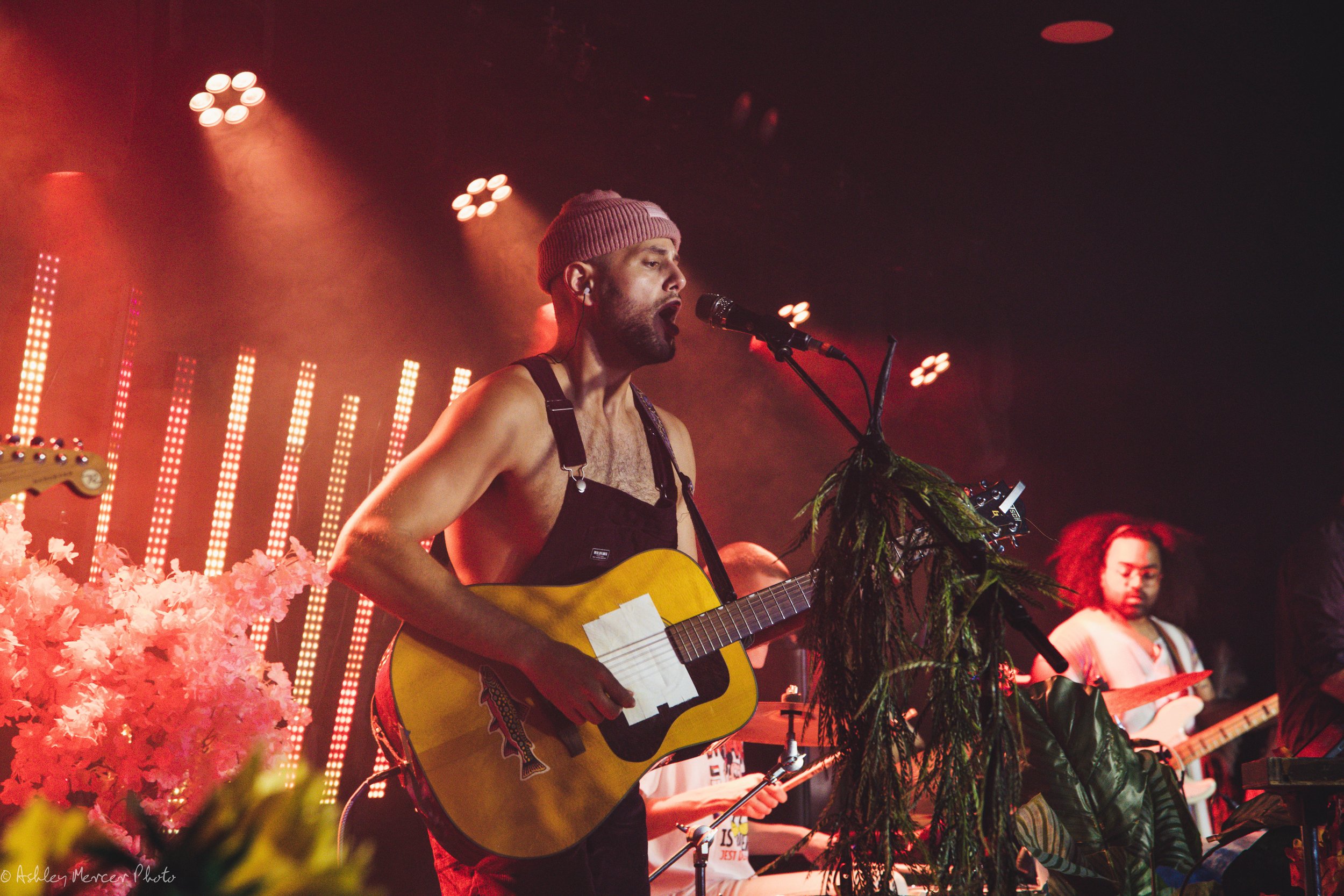 Joe Hertler and Proxima Parada-178.jpg