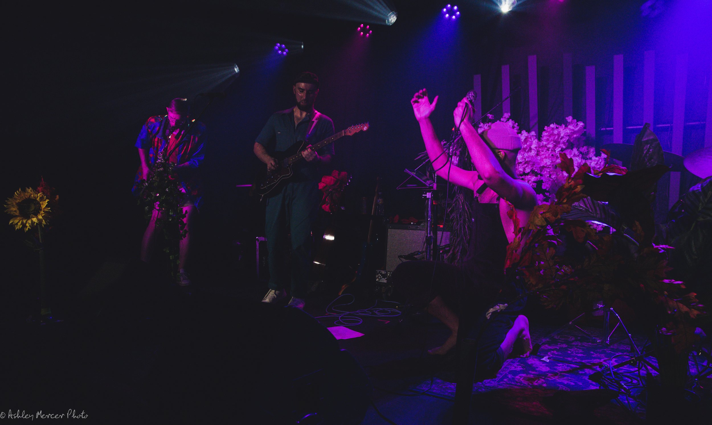 Joe Hertler and Proxima Parada-357.jpg