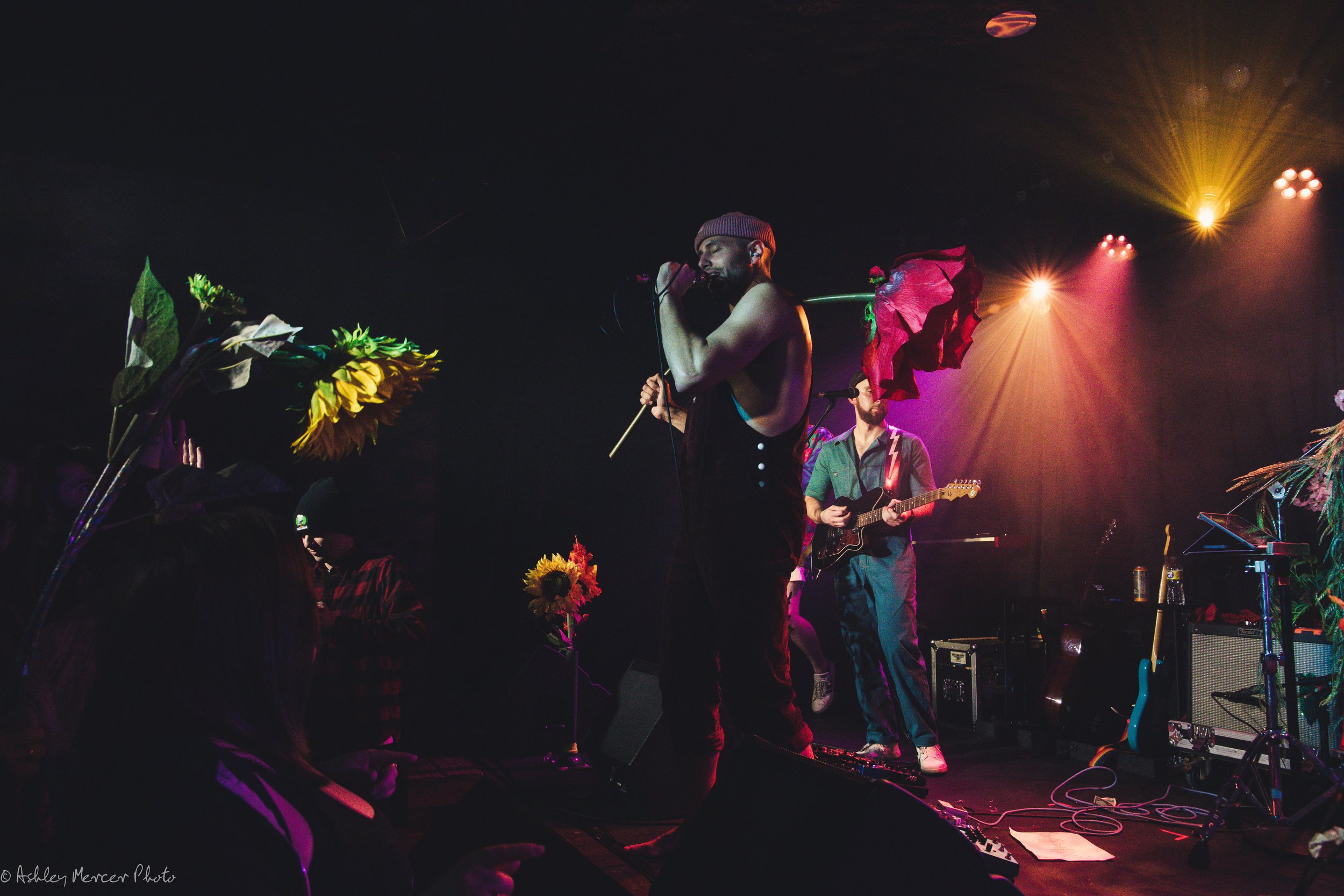 Joe Hertler and Proxima Parada-387.jpg