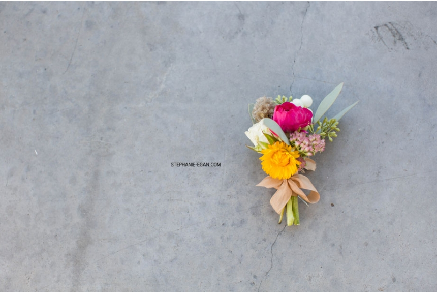 Stephanie Egan Photography