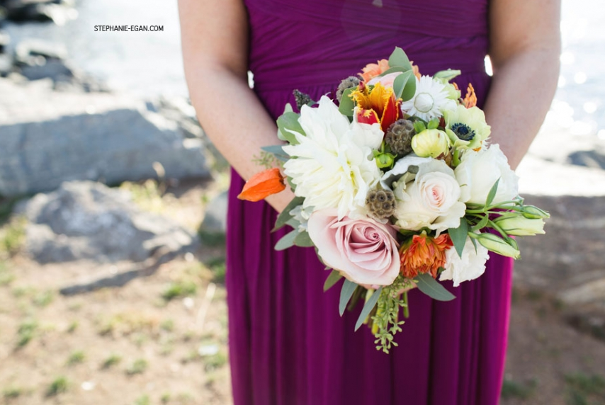 Stephanie Egan Photography