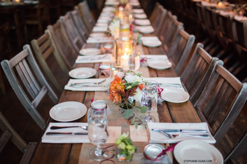 Stephanie Egan Photography