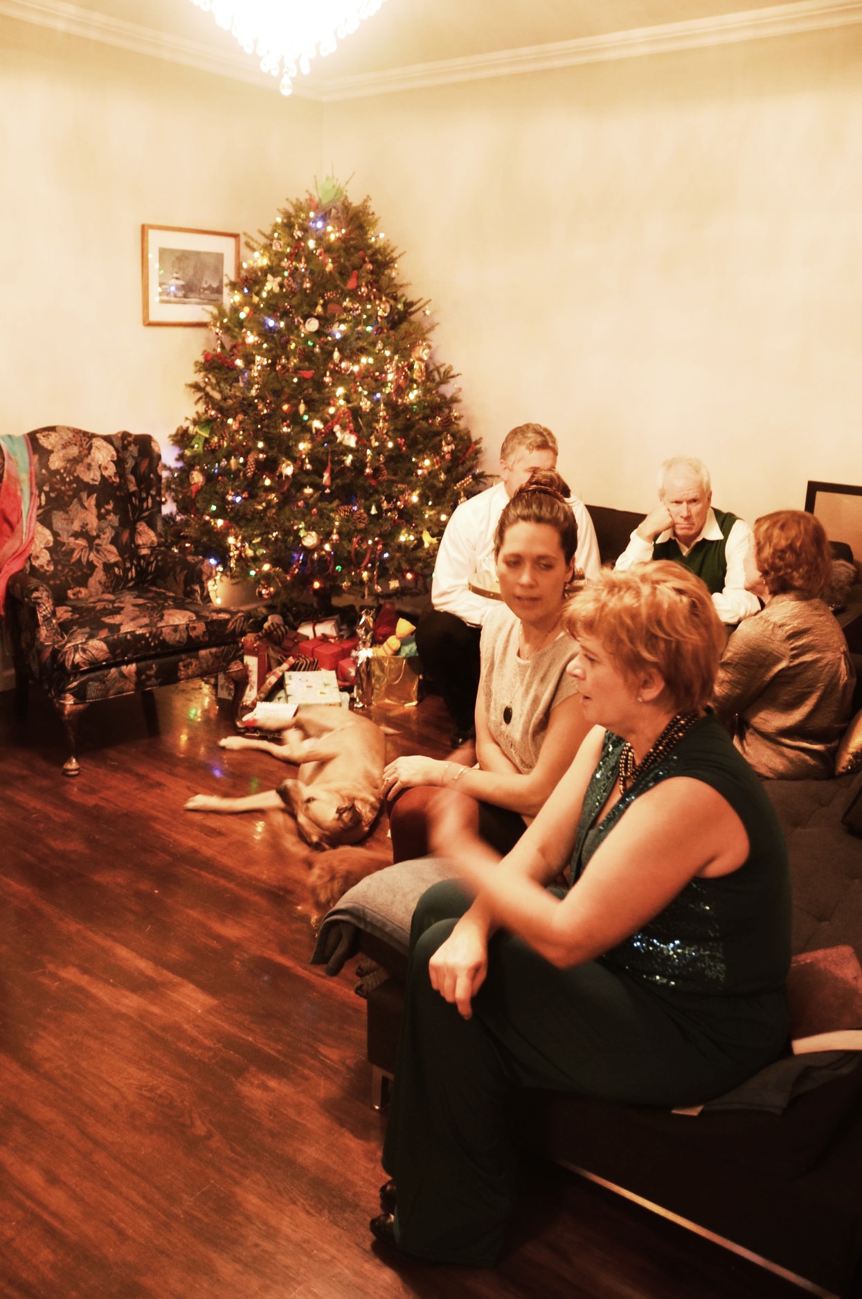 2013-12-28 18.49.39.jpg