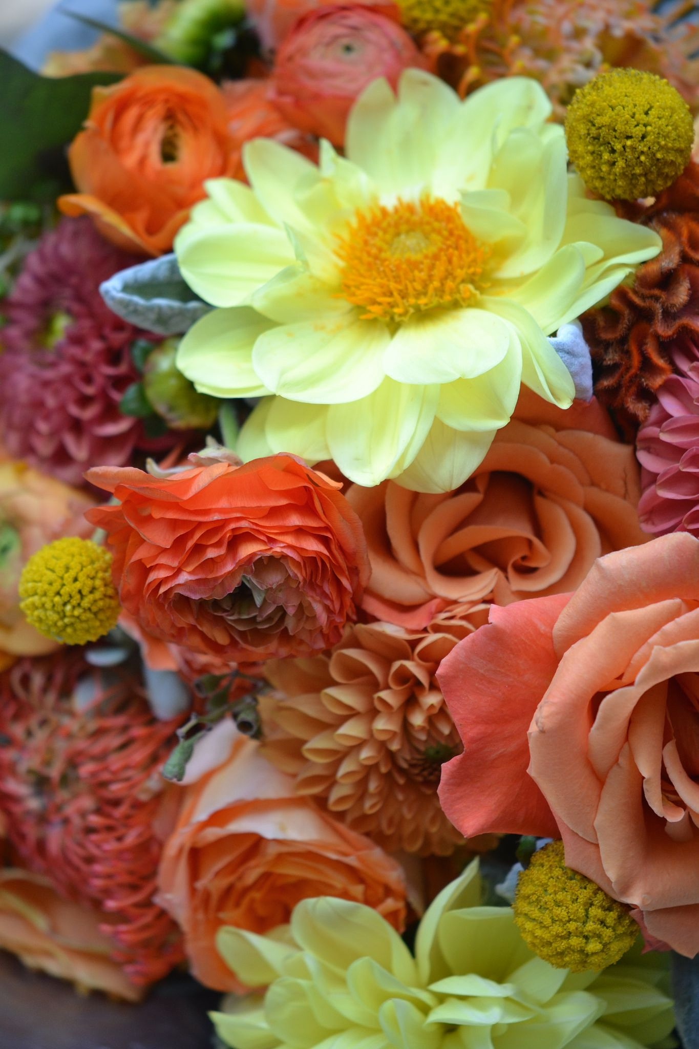 2014-09-07 17.06.26.jpg