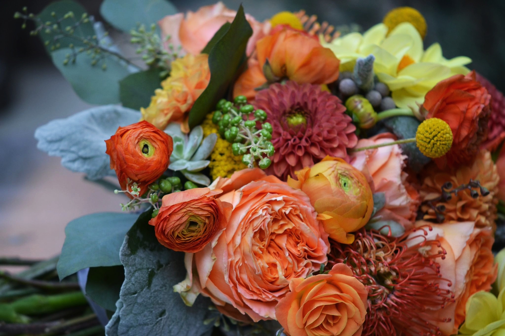 2014-09-07 17.08.32.jpg