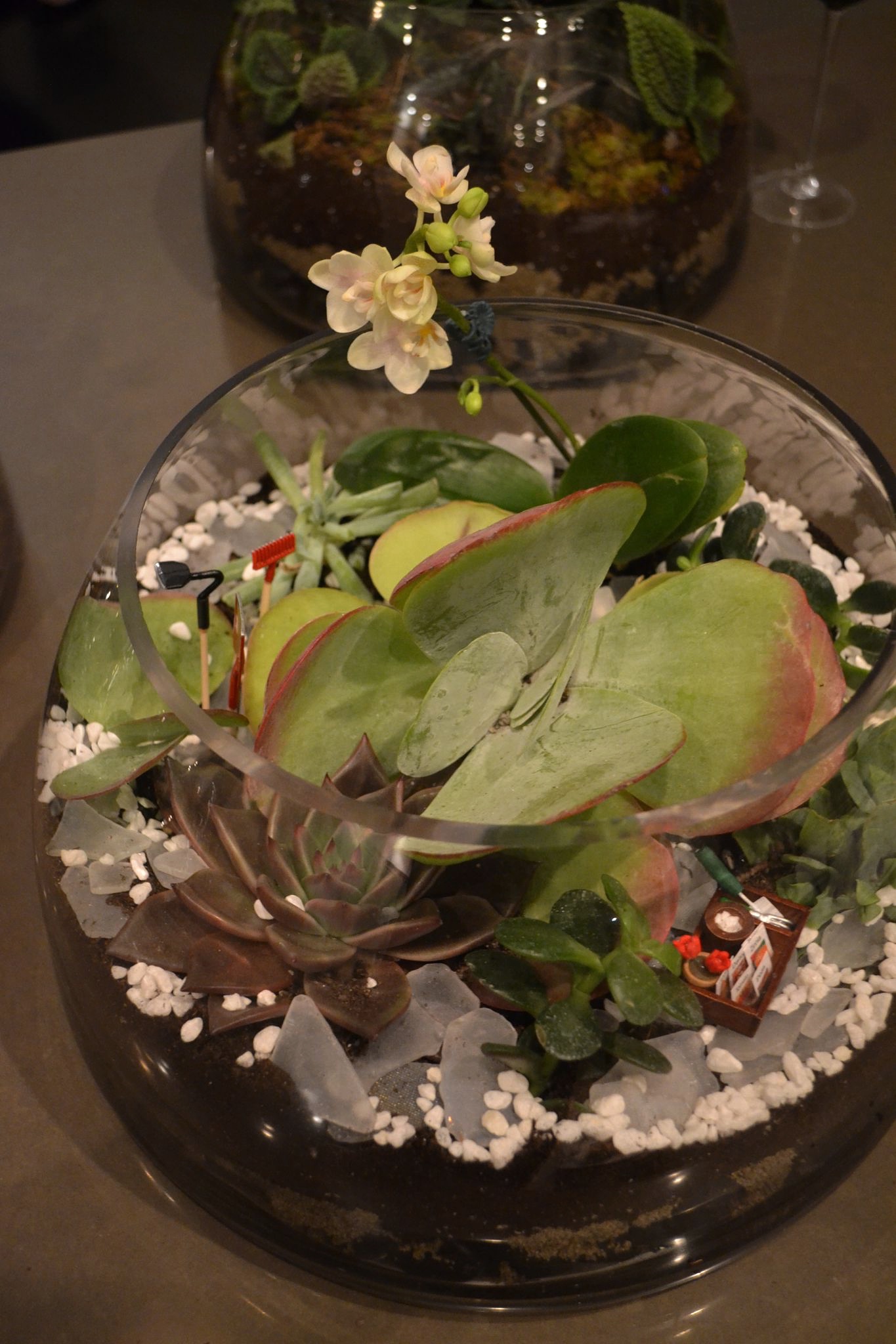 2015-02-20 21.38.56.jpg