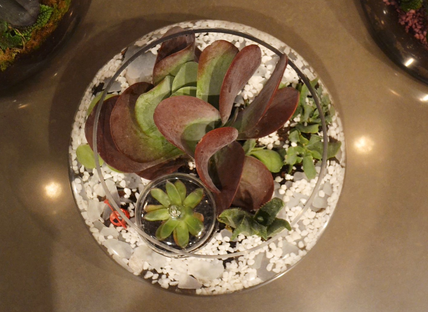 2015-02-20 21.45.53.jpg