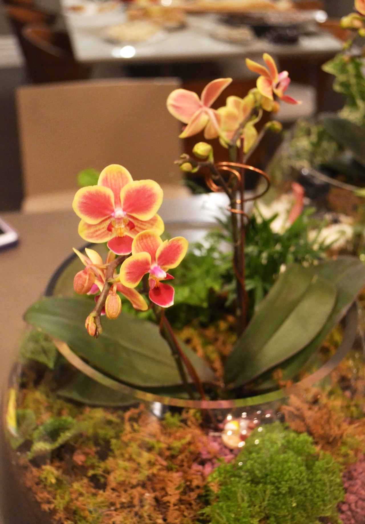 2015-02-20 21.52.52.jpg