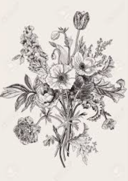 Screen Shot 2019-05-03 at 10.42.56 PM.png