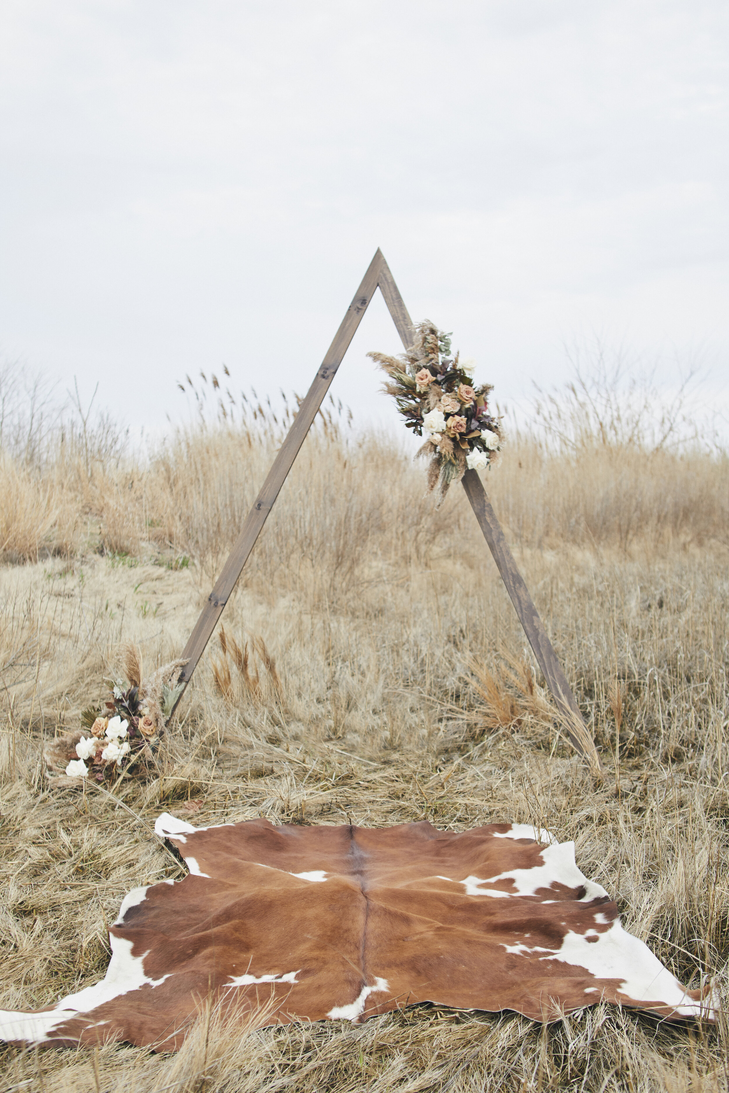 Ashley Dingess Photography