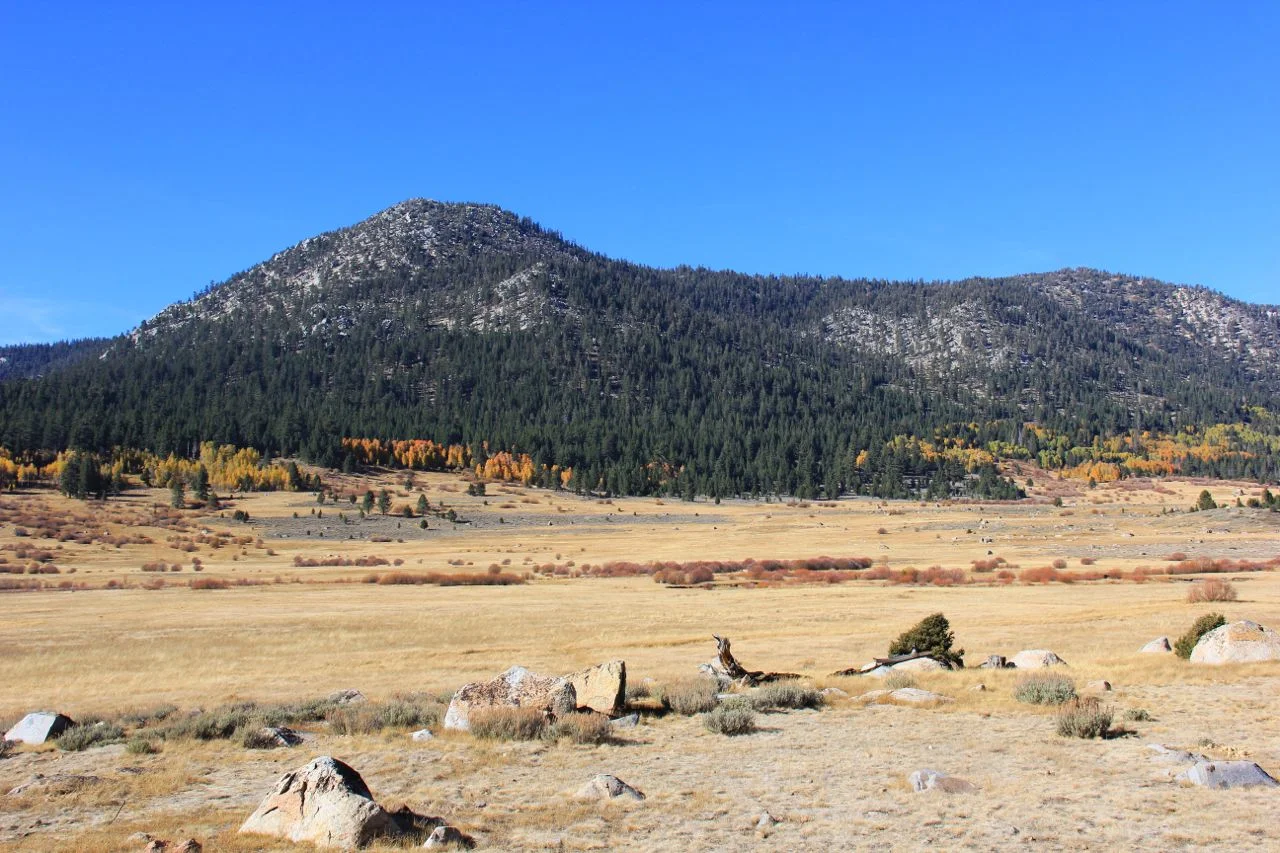 South Tahoe.jpg