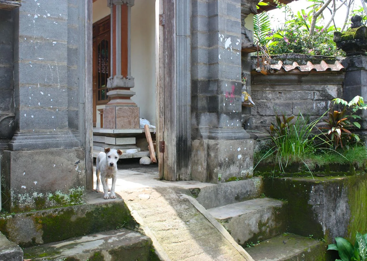 Bali.jpg