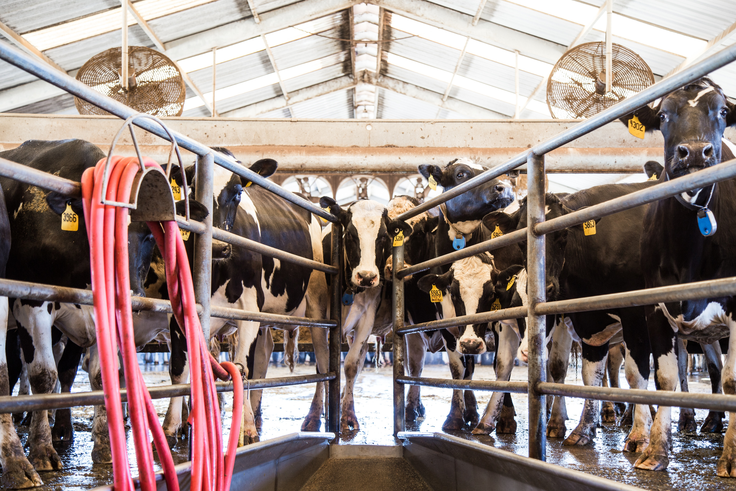 IMG_2372.jpg