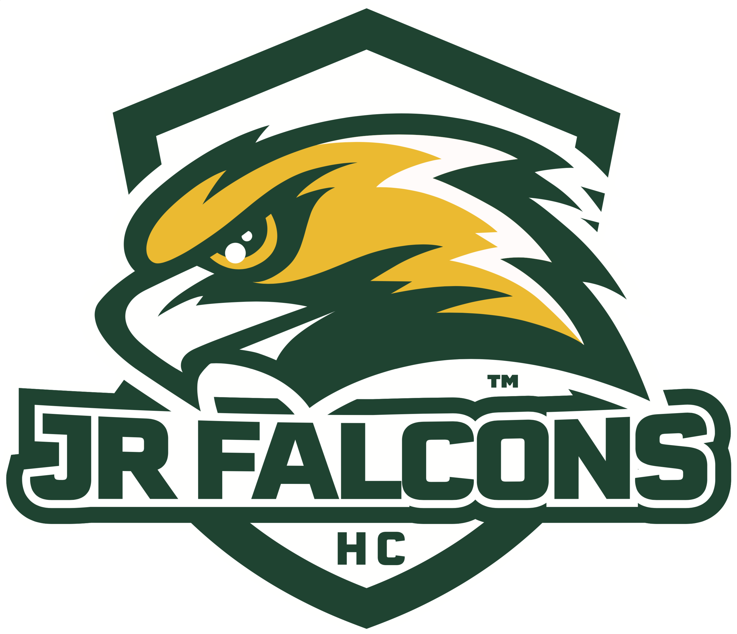 Screen Shot 2021-12-22 at 1.08.48 PM.png