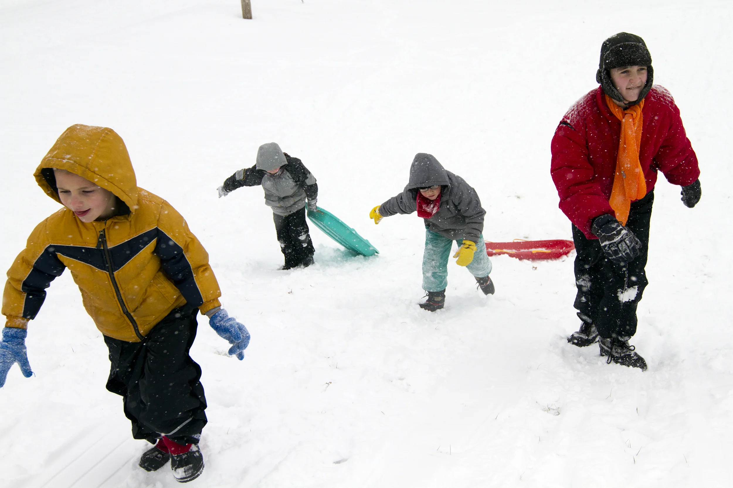 150216_snowday01_Av.jpg