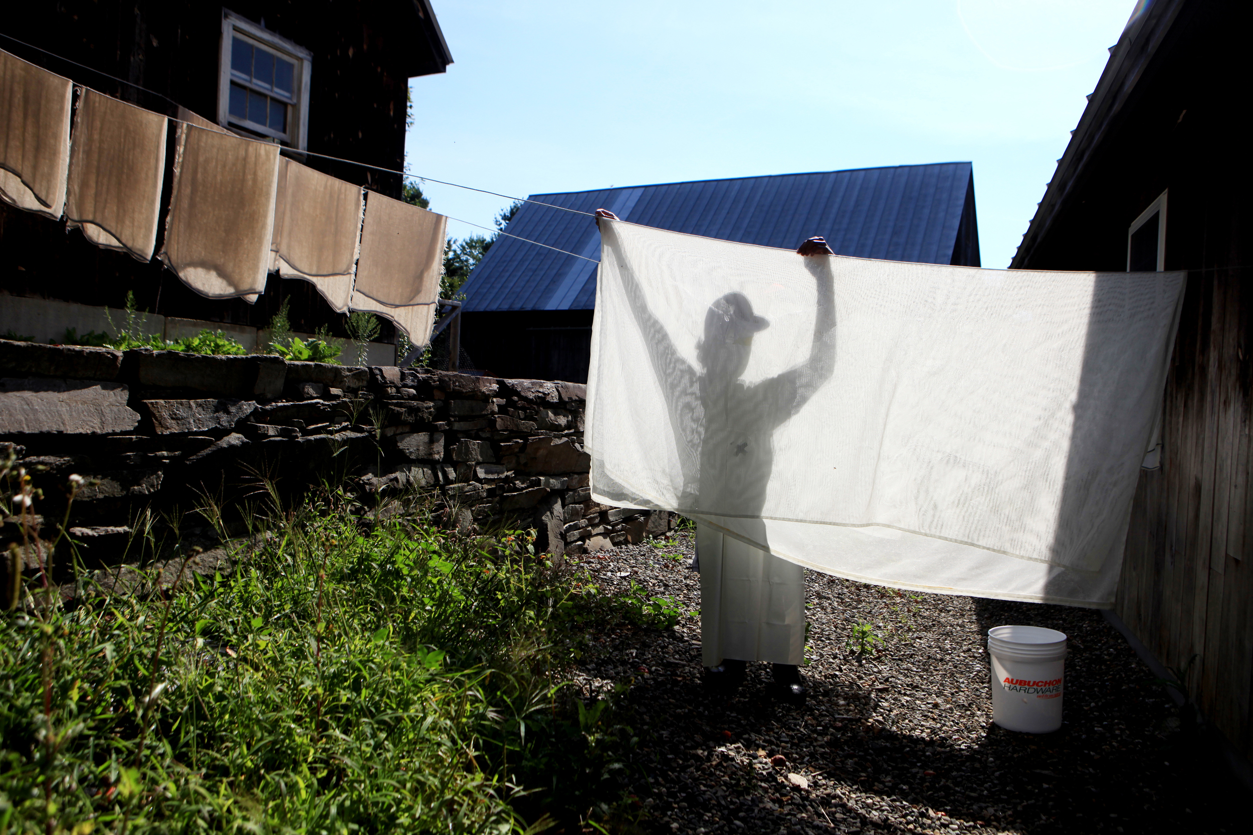  Caleb Putnam hangs sheets of cheesecloth on the line after washing them at his family's farm in North Pomfret, Vt. on August 25, 2014. The fabric is used to remove the curds from the whey. Caleb's parents, John and Janine, own Thistle Hill Farm, whi