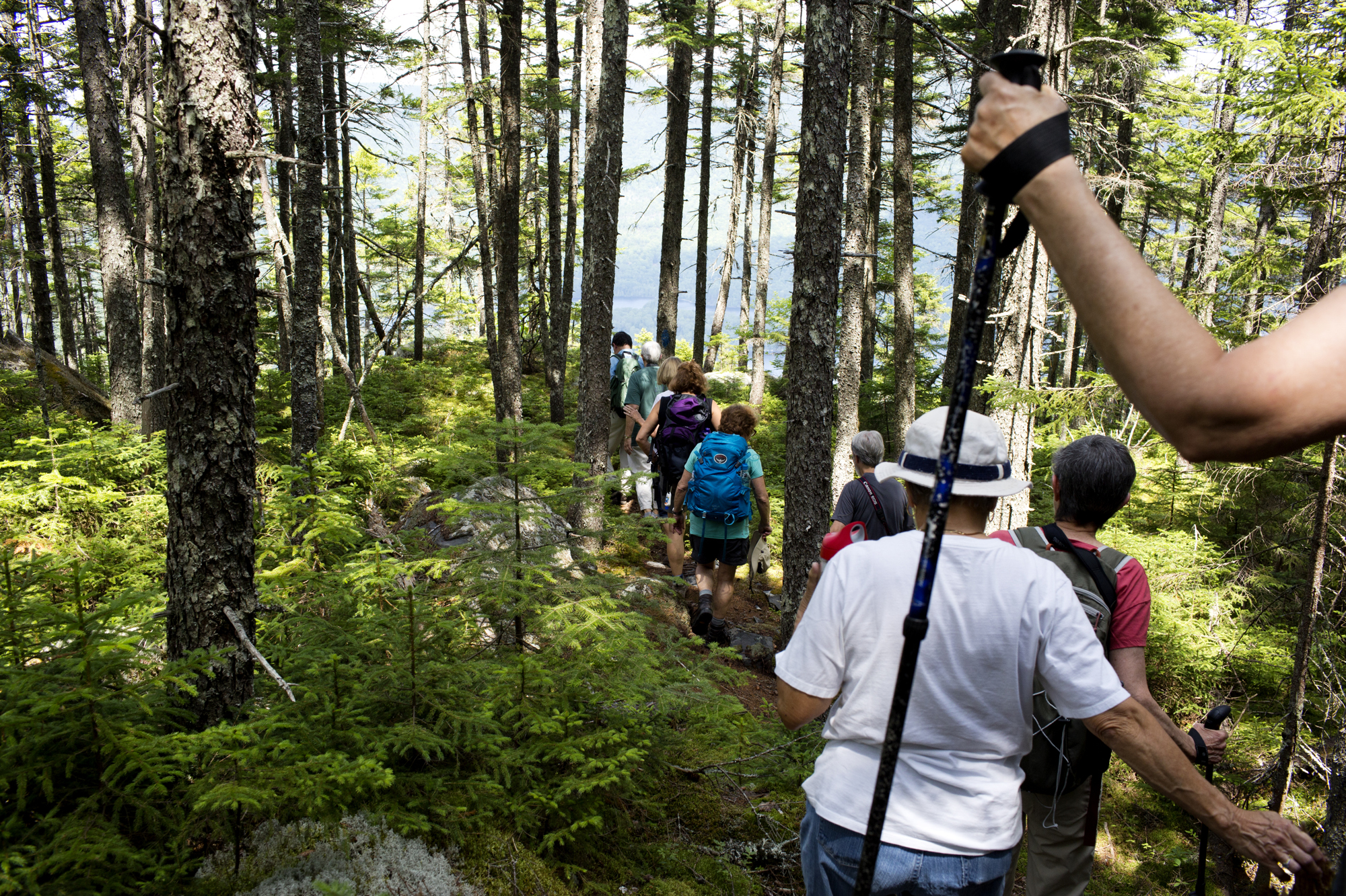  Naturalist Weekend participants hike Borestone Mountain Audubon Sanctuary trails near Elliotsville, Maine on July 21. 