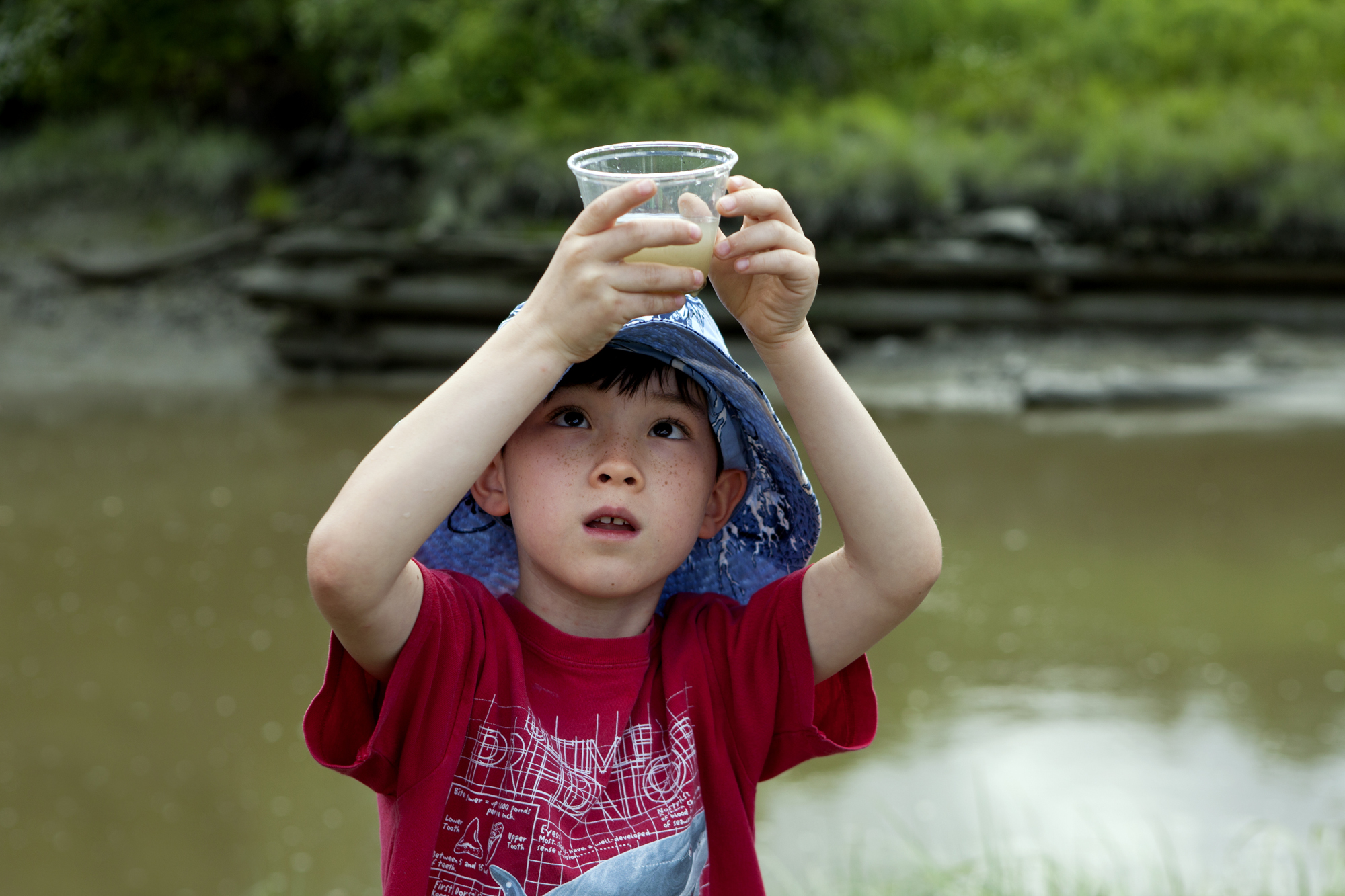  Maine Audubon camper Matthew investigates a water sample from the Harraseeket River during a field trip to Mast Landing Audubon Sanctuary in Freeport, Maine on June 28. 