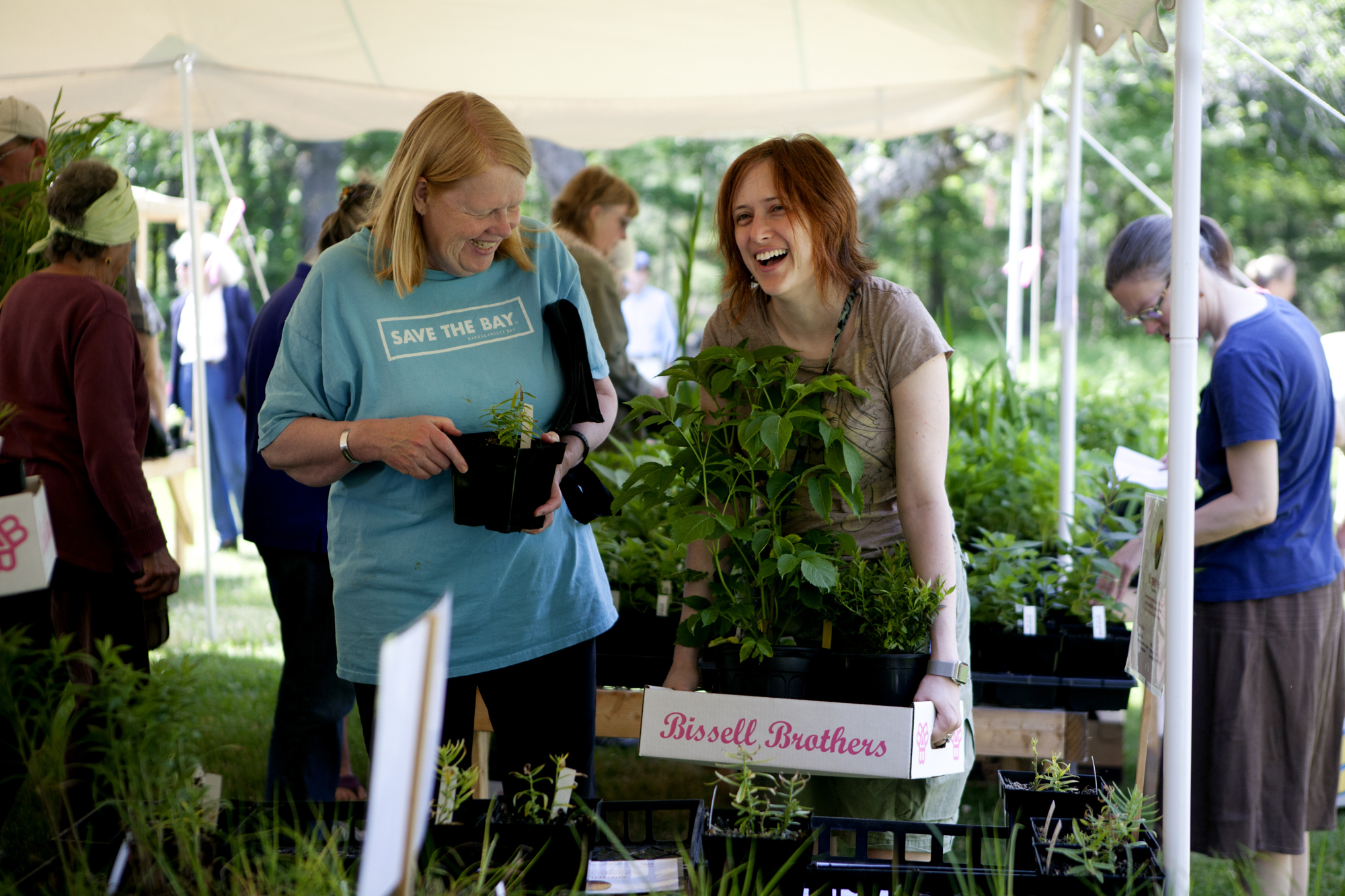  More than 2,000 native plants were sold during the Bringing Nature Home Native Plants Sale at Gilsland Farm Audubon Center in Falmouth, Maine on June 16. 