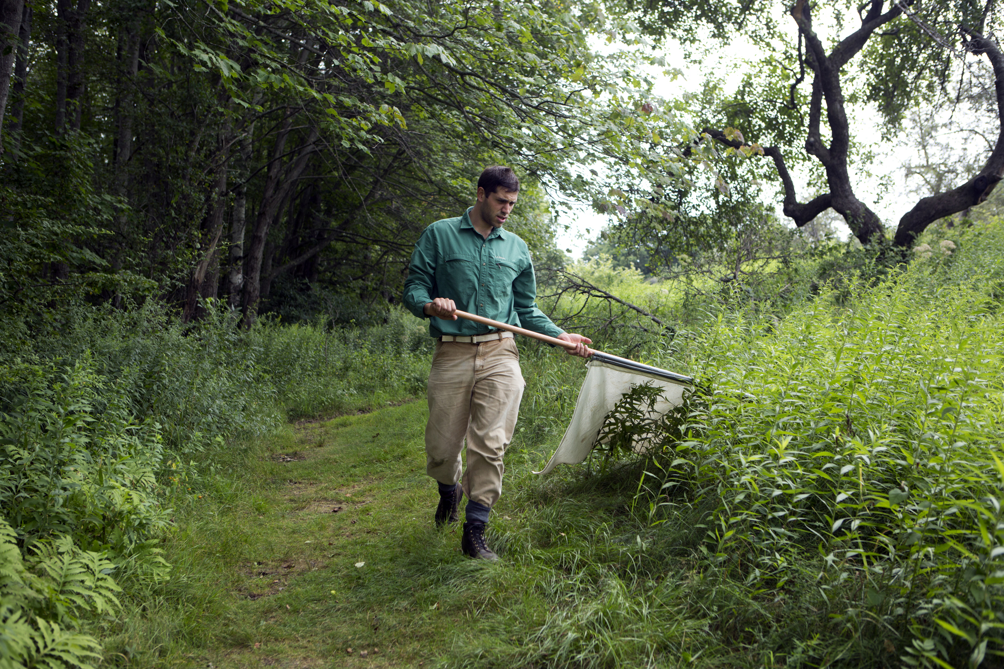  Ben Stone of the Vector-borne Disease Lab at Maine Medical Research Center Institute flags for ticks at Gilsland Farm Audubon Center in Falmouth, Maine on August 4. 