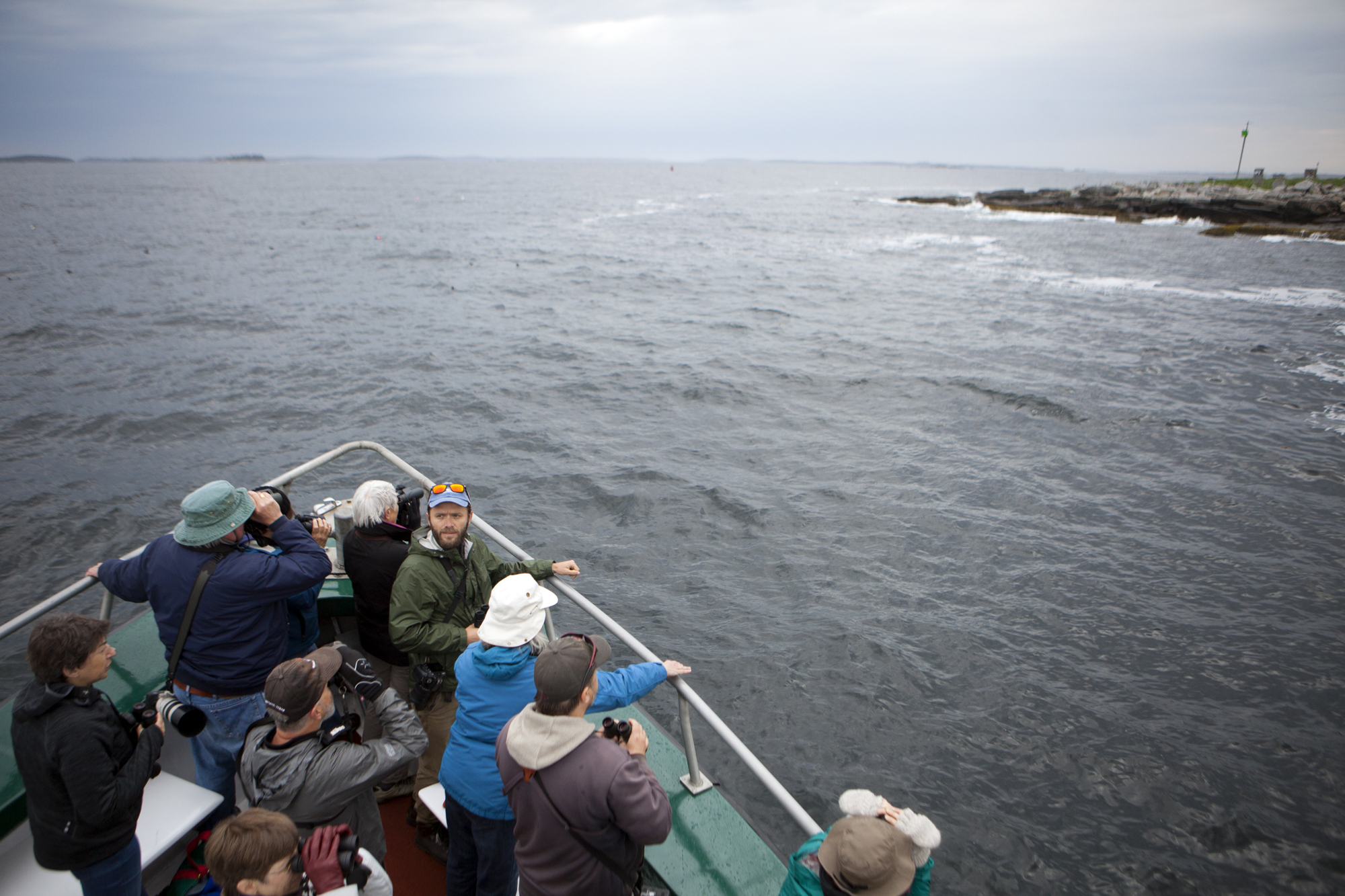  Birders look for Atlantic Puffins, Black Guillemots, and terns near Eastern Egg Rock on the way to Matinicus Rock off the coast of Maine on June 8. 