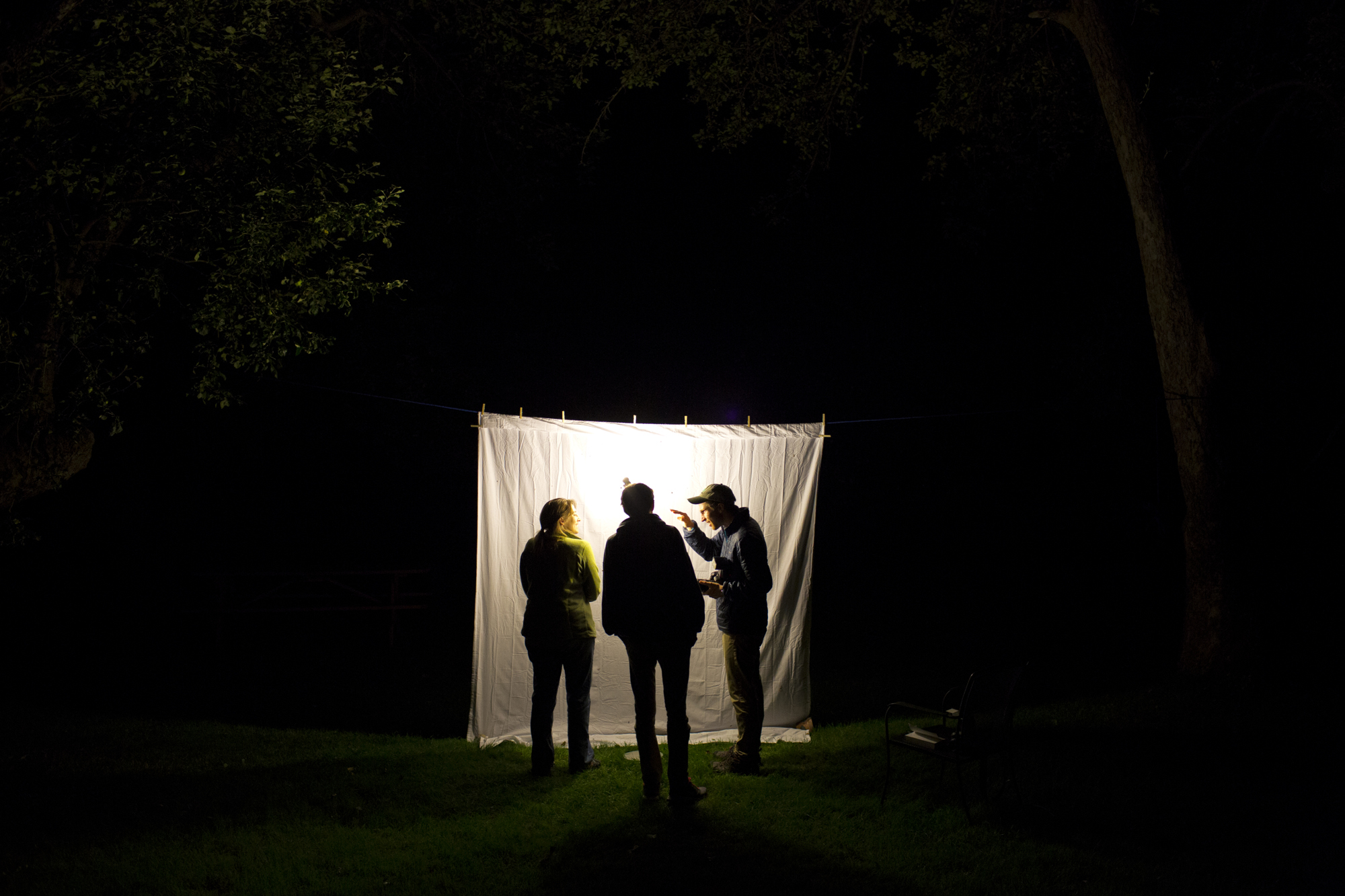  Sarah Haggerty, left, Fyn Kind, and Doug Hitchcox look for moths late in the evening at Gilsland Farm Audubon Center in Falmouth, Maine on July 26. 