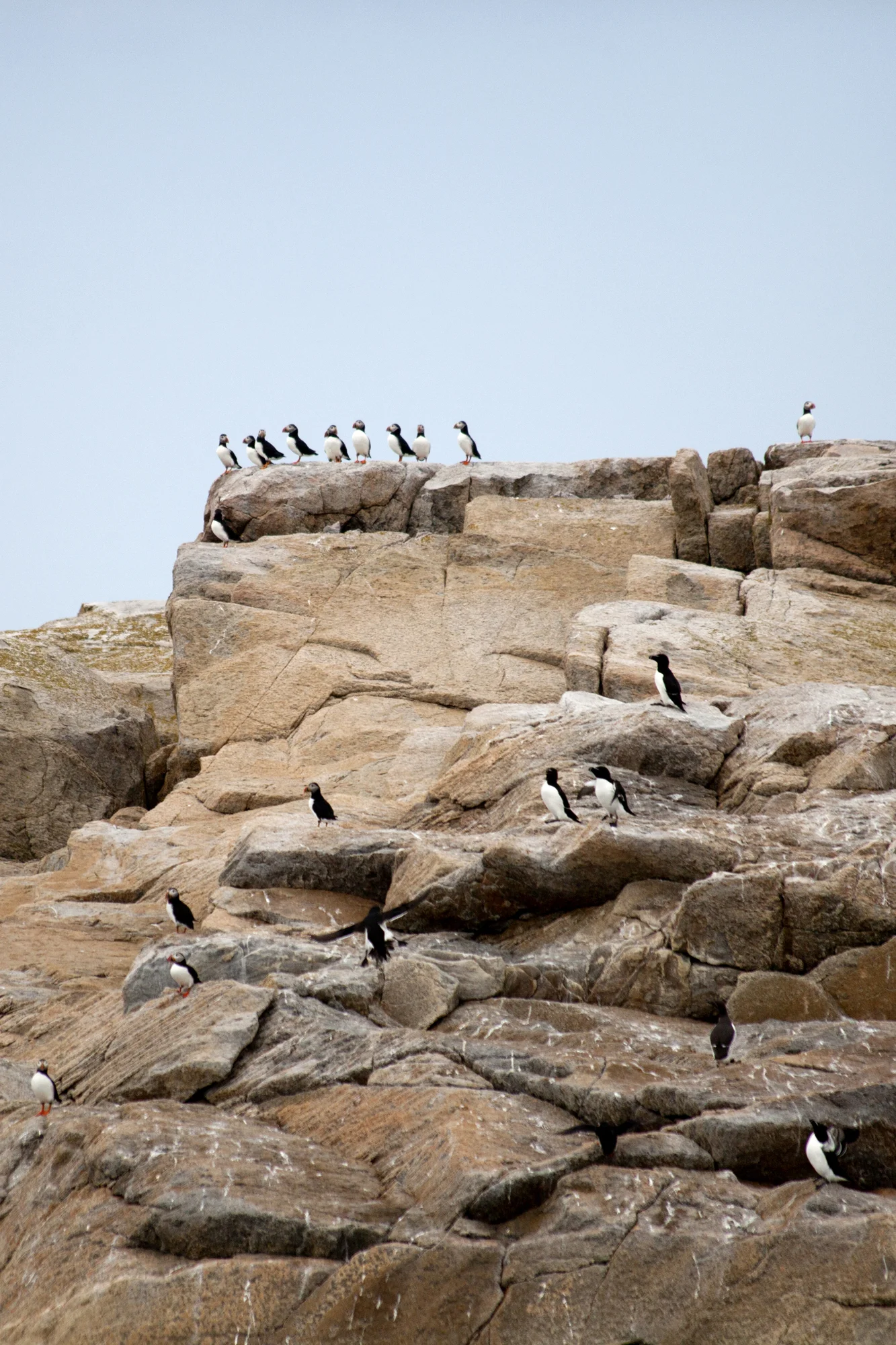 vdA_port_nature_018.JPG