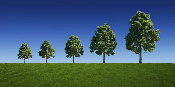 Recognize the value of clients that become rooted in your business. As their needs grow and change, so does your business.