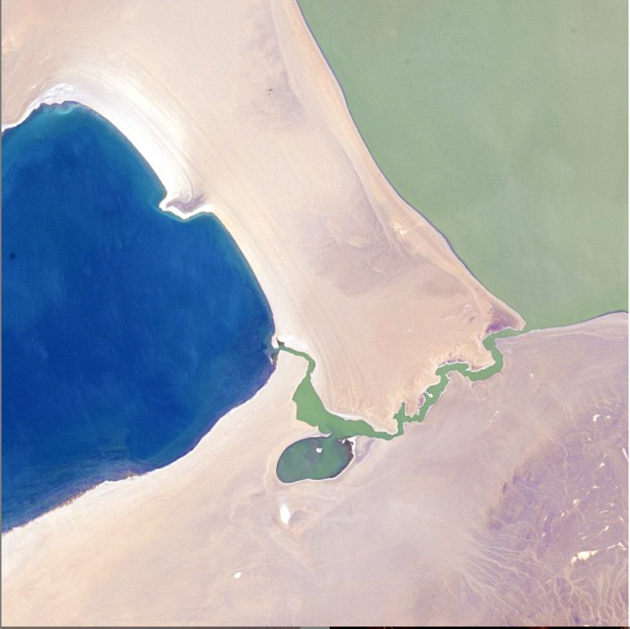 Screen Shot 2015-08-06 at 11.11.39 AM.png