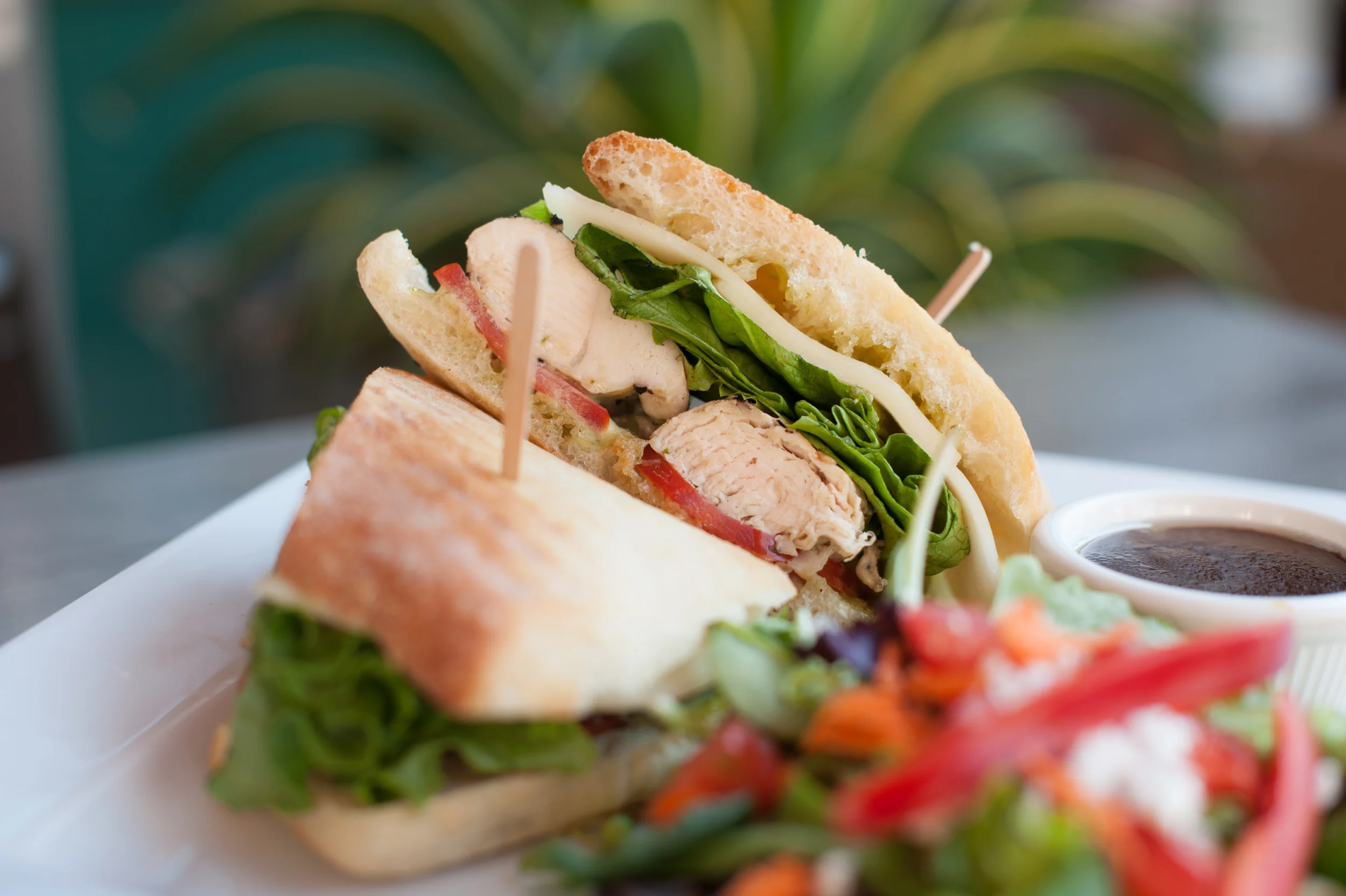 AGAVE_Ciabatta_Chicken_Sandwich.jpg