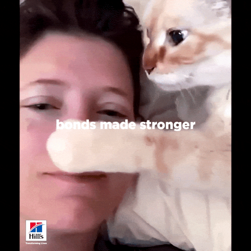Small_21_MBEQ_Science_Did_That_MB_Snuggles_Made_Softer_06_Cat _1x1_1.gif