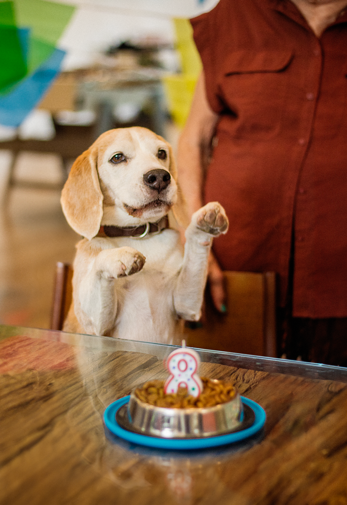 Max's Birthday Party