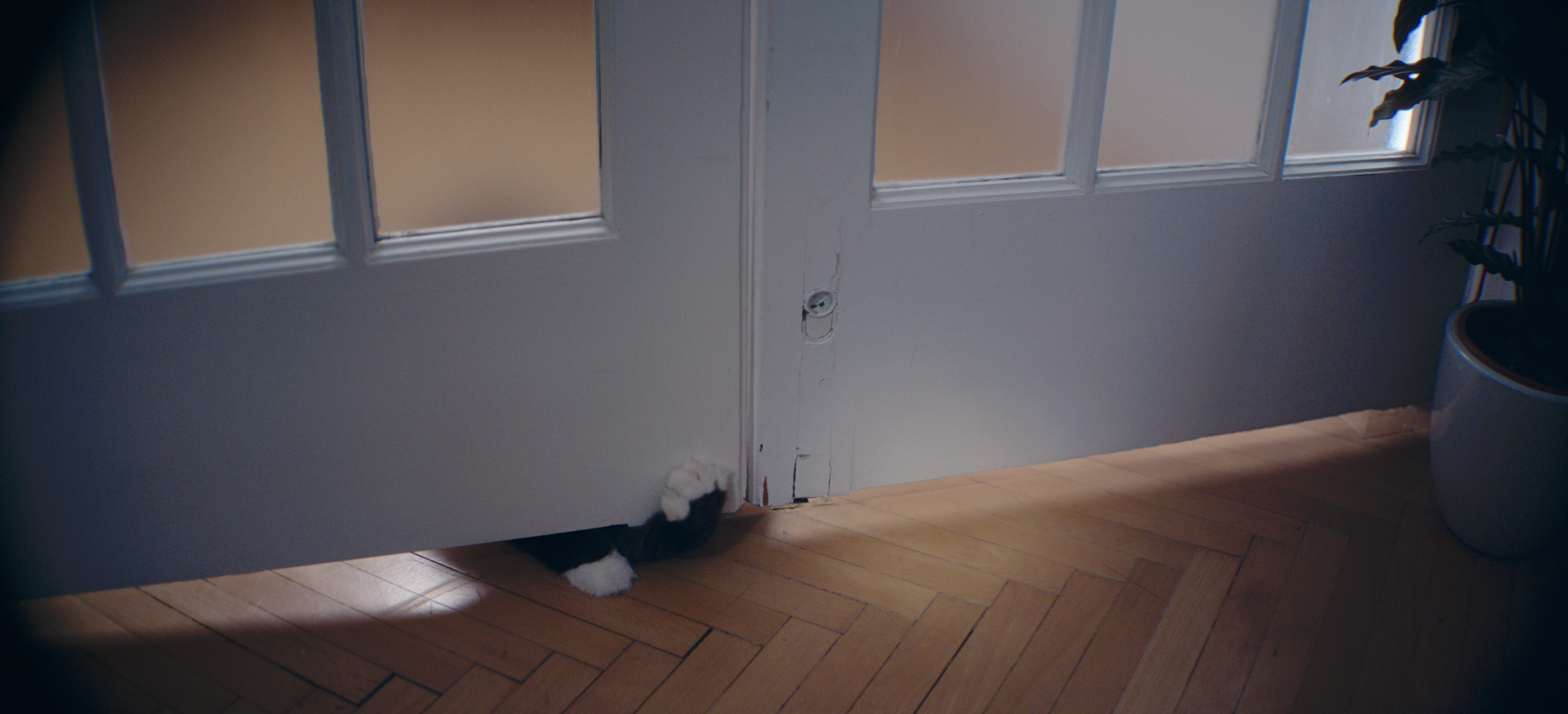 Screenshot 2025-09-26 at 10.05.29 AM.png