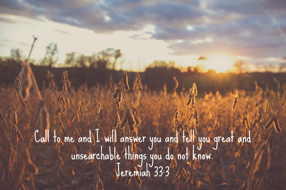 Jeremiah 33.png