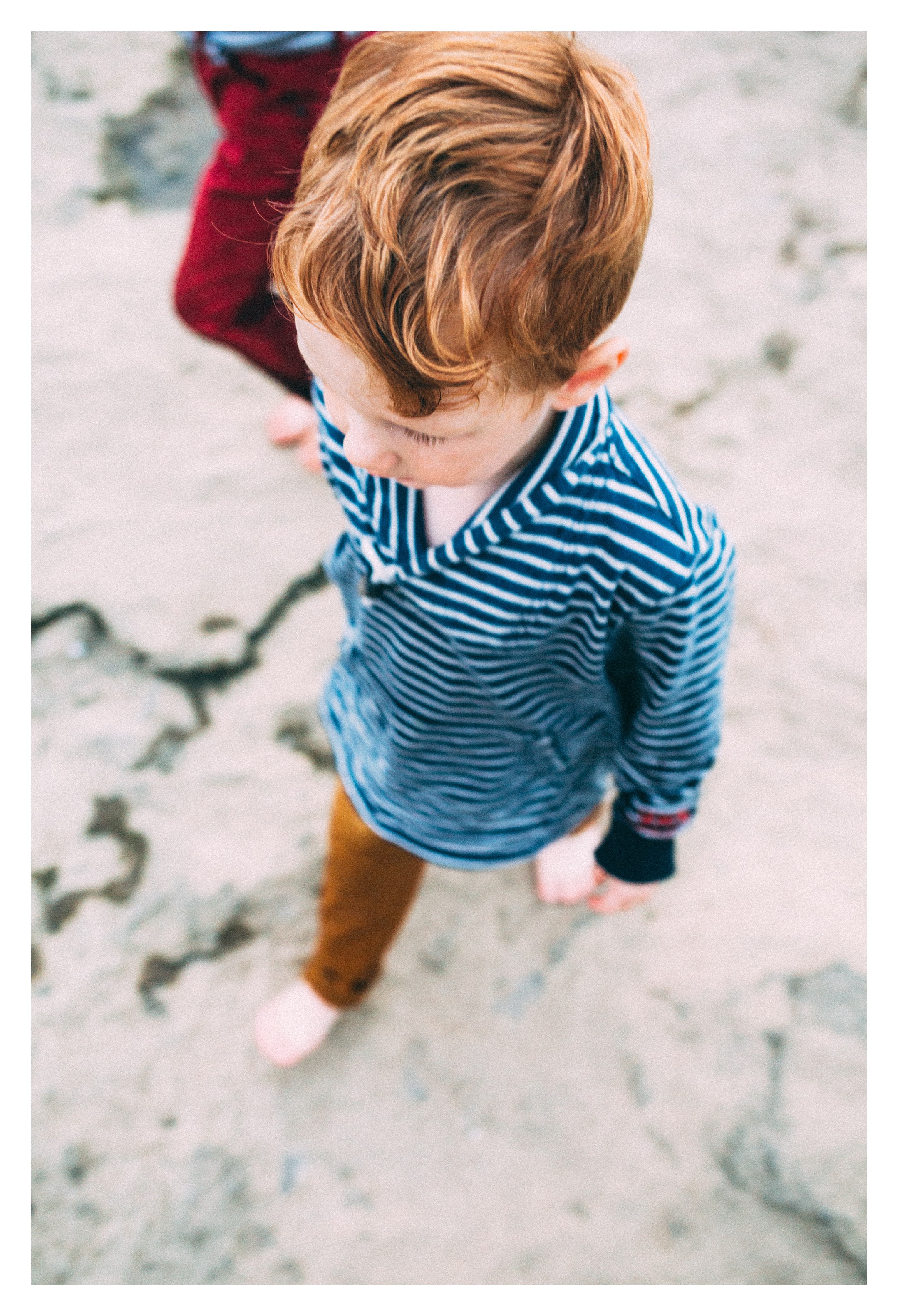 louisville family photographer southern indiana family photographer_0505.jpg