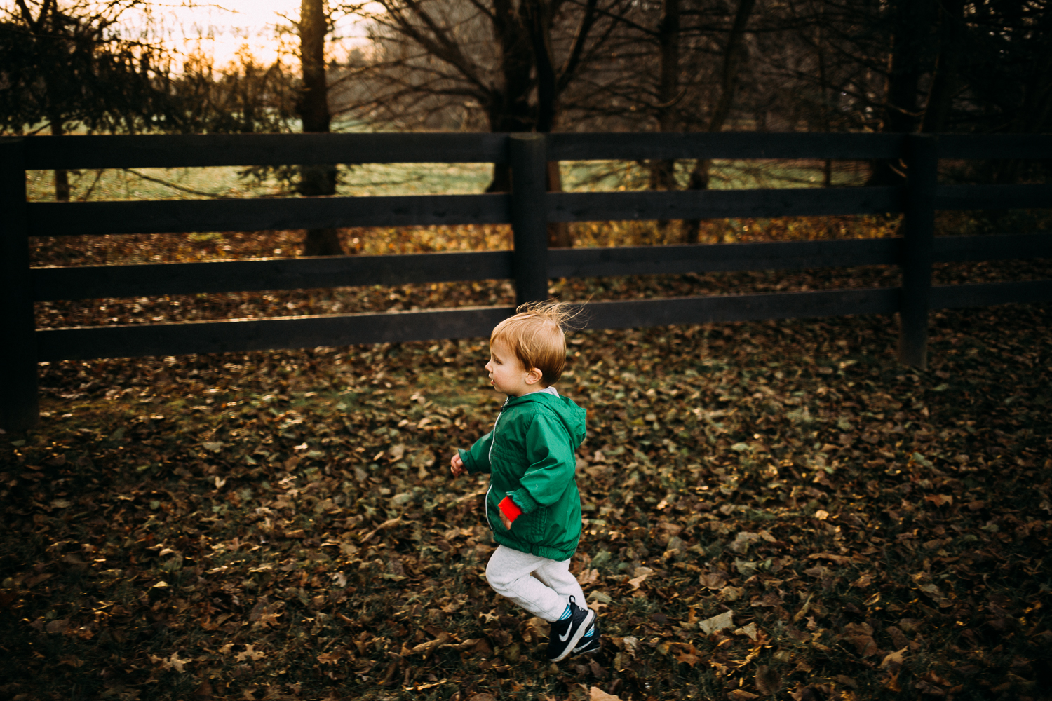 southern indiana family photography