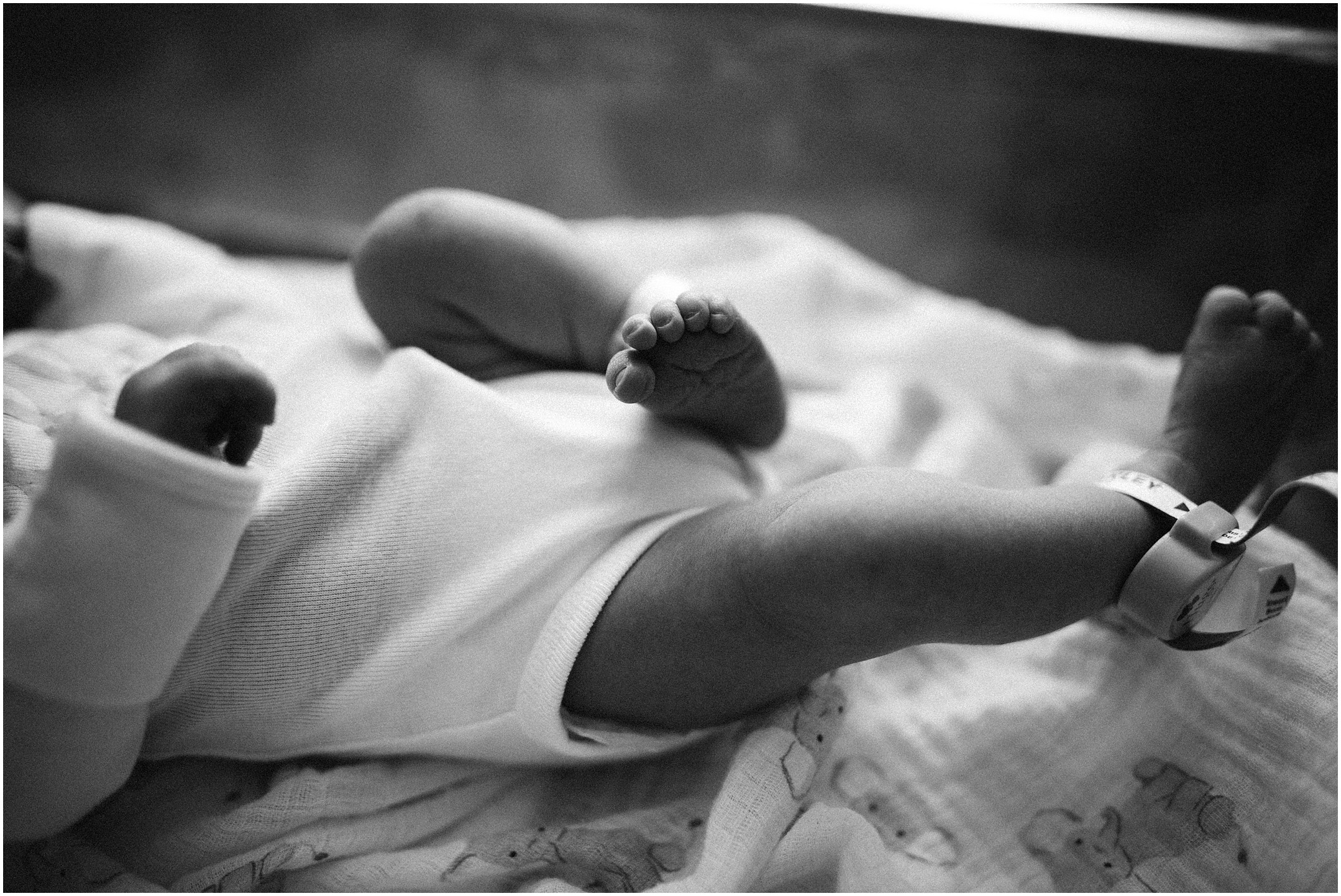  louisville newborn and fresh 48 photography 