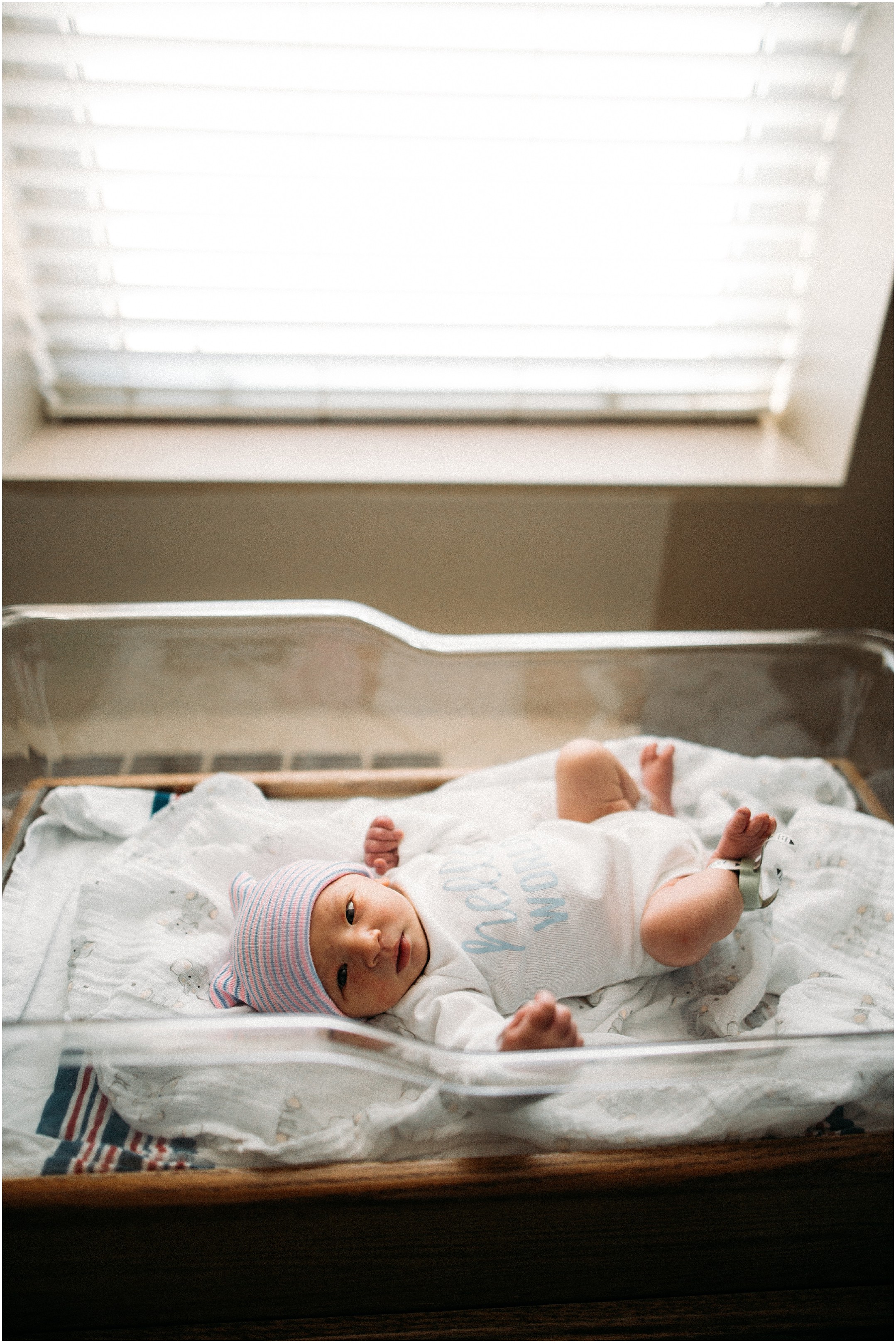  louisville newborn and fresh 48 photography 
