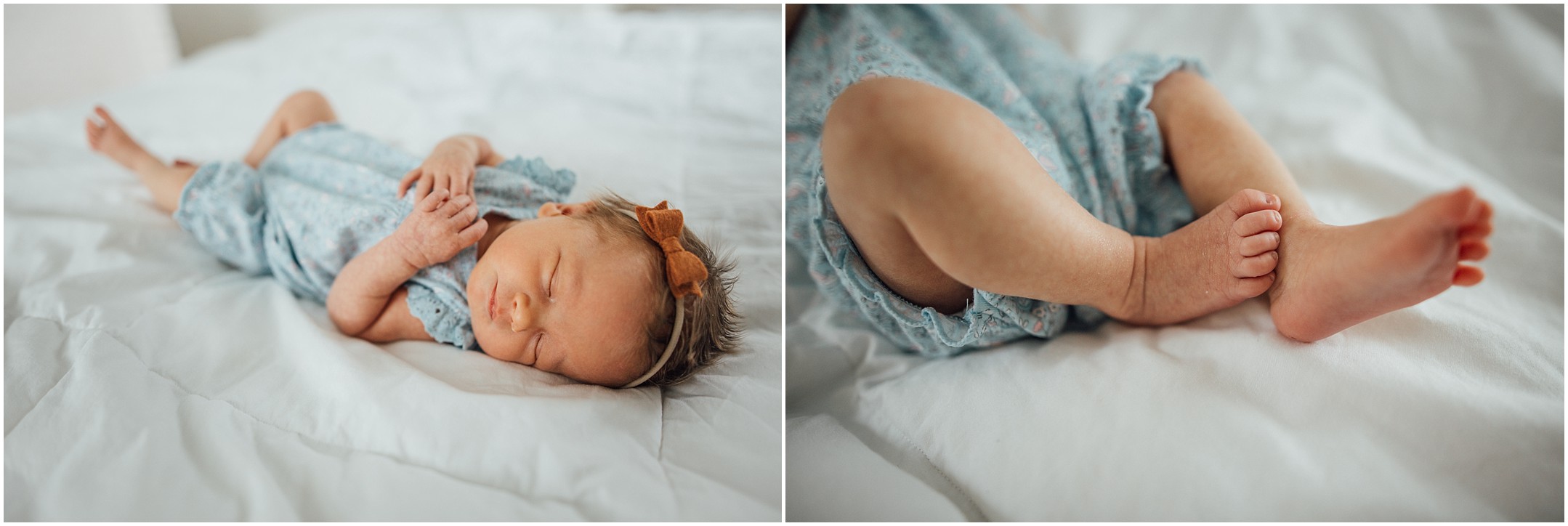Louisville newborn photographer