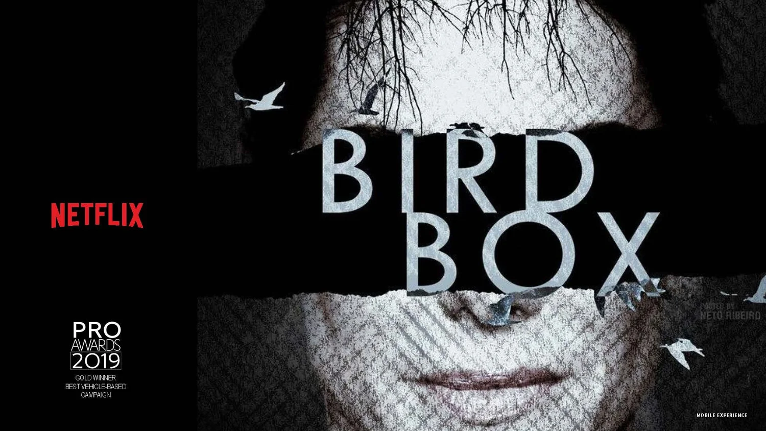 Netflix - Bird Box activation