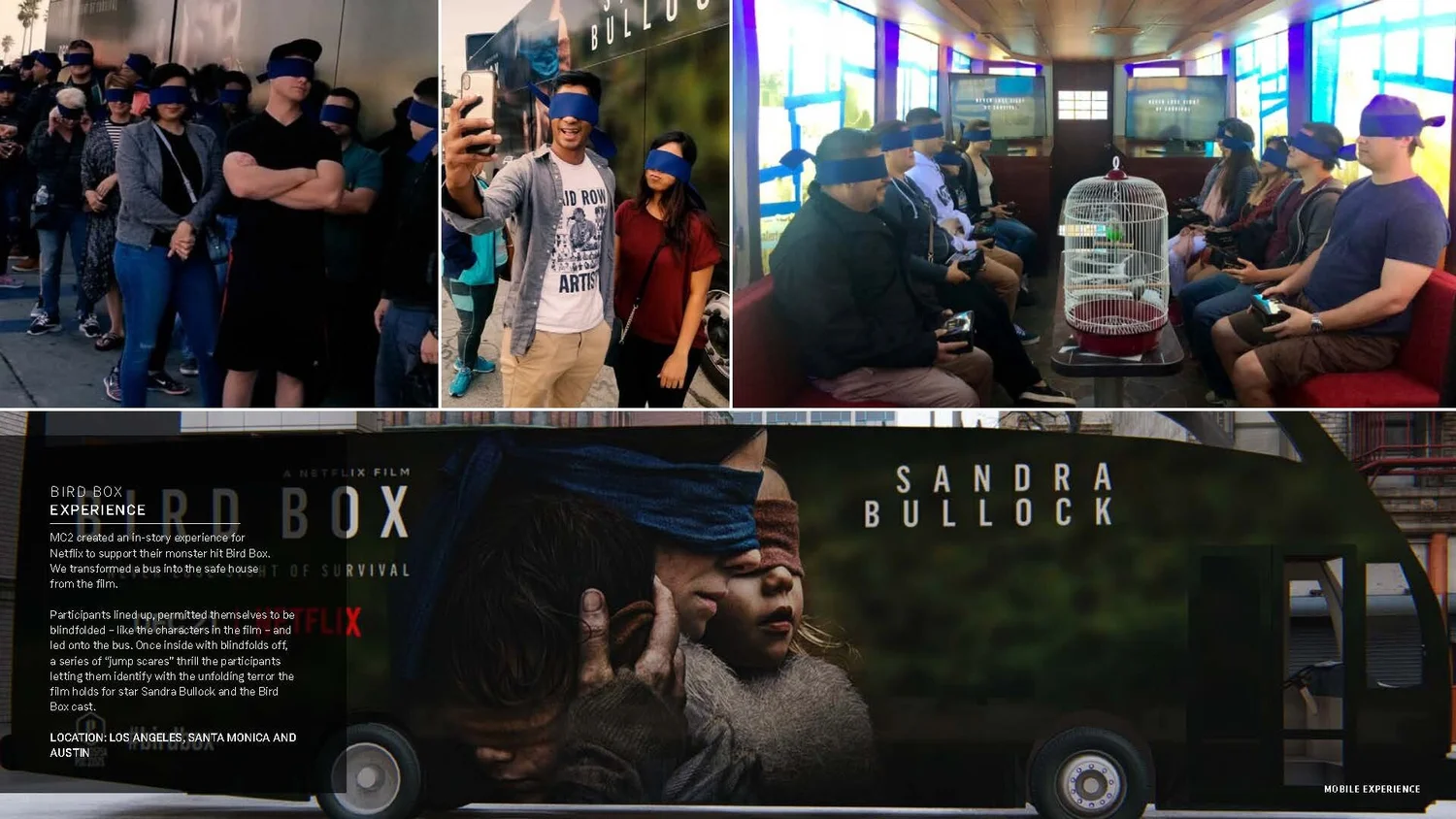 Bird Box Experience - Case Study