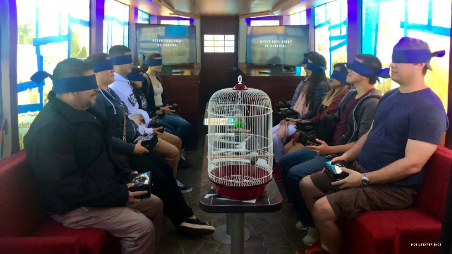 Bird Box Experience - Social