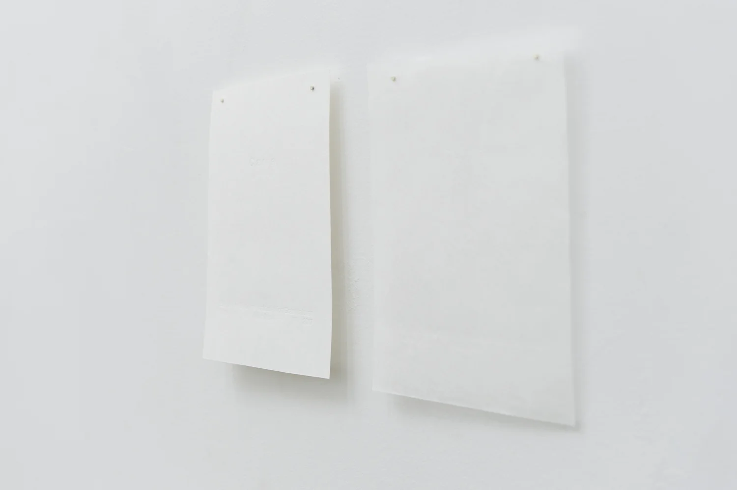 Carta fAN Kunstverein curated by Antje Prisker & Ute Burkhardt Dauer 16.2.2017 – 28.2.2017 Photos by Christoph Liebentritt Schon der Gedanke, dass ein Zufall am Anfang vieler Sammlungen steht, gibt einem ein gutes Gefühl. Wo Kenntnisse über Sammelgebiete und Gegenstände steigen, spricht man von einer Sammlung, denn Sammeln im Gegensatz zum Anhäufen bedeutet auswählen. Populäre Sammelgebiete sind unter anderem historische Aktien und Wertpapiere, Ansichtskarten, Anstecknadeln, Antiquitäten, Aufkleber, Autogrammkarten und viele mehr. Ich sammle Papier, sammle das Wissen und die Geschichte die es erzählt. Die Idee zu „Carta“ steht am Anfang dieser Sammlung, die Idee aus den gesammelten Papieren ein blindes Buch mit verlaufenden Grammaturen zu machen. Speziell dafür suche ich seit langem rein weiße ungestrichene Papierbögen verschiedener Grammatur. Das Objekt ist nicht viel mehr als ein Block Papier, ein Musterbuch von Sorten die zu ihrem Ende gekommen sind. Die sich nun als Zeugen der Betriebe, die sie produzierten, zusammen finden. (Anna Paul, Feb.2017) Carta Thinking of coincidence as an initiator for many a collection already creates a good feeling. Where knowledge about specific areas and objects increases one speaks of a collection for collecting, as opposed to hoarding, means making choices. Popular collectibles are, amongst others, historical shares and bonds, postcards, pins, antiques, stickers, autographs and many more. I am collecting paper, the knowledge and the stories it holds. The idea of binding the collected papers to a blind book with changing grains became the initial idea behind ‘Carta’. For this I have long been searching for brilliant white laid paper of different grain. The object displayed is little more than a block of paper, a sample book of discontinued lines, coming together to bear witness to the companies which produced them.
